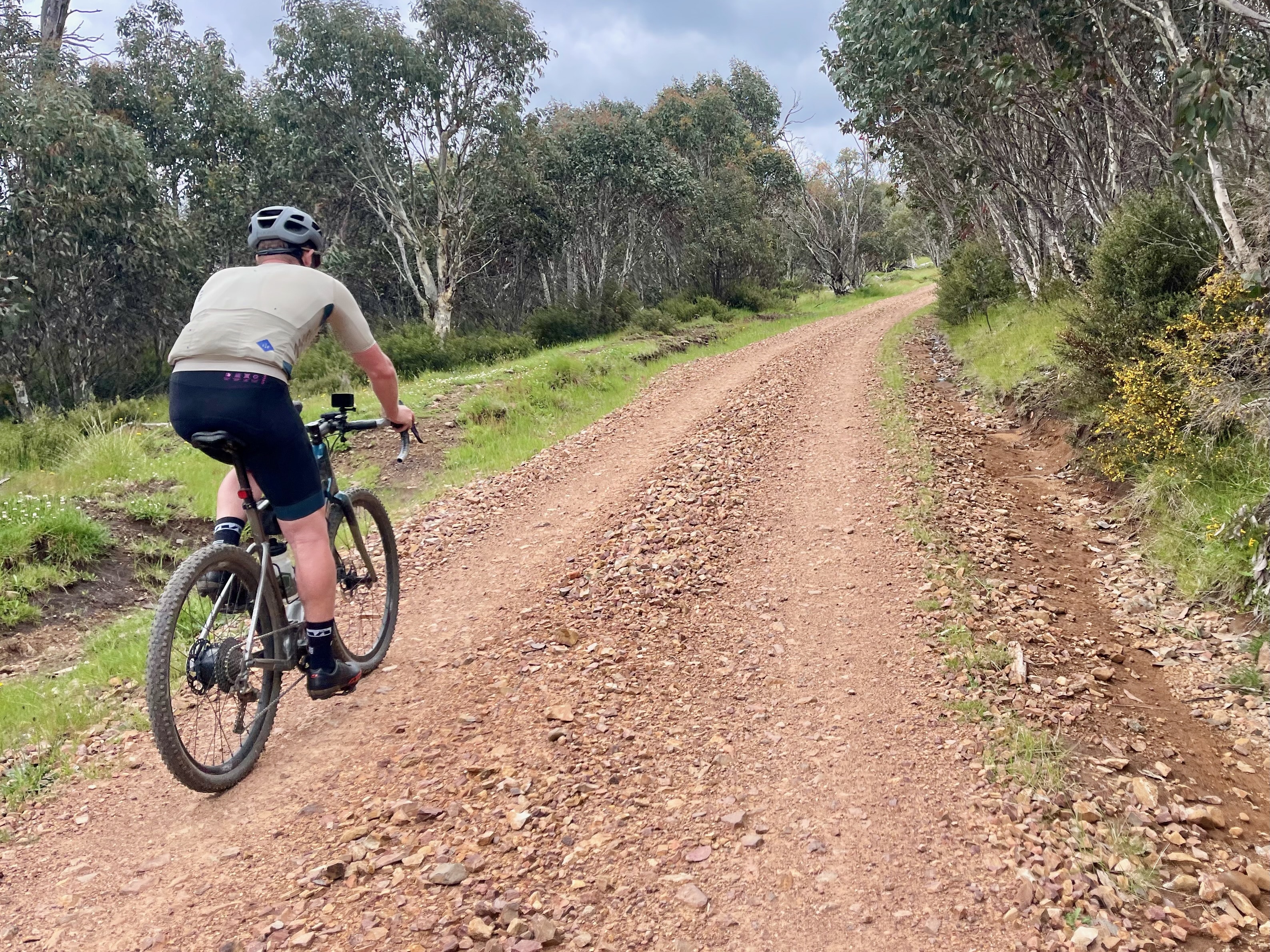 Cyclist riding along a chunky dirt road with native bushland on either side of the dirt road