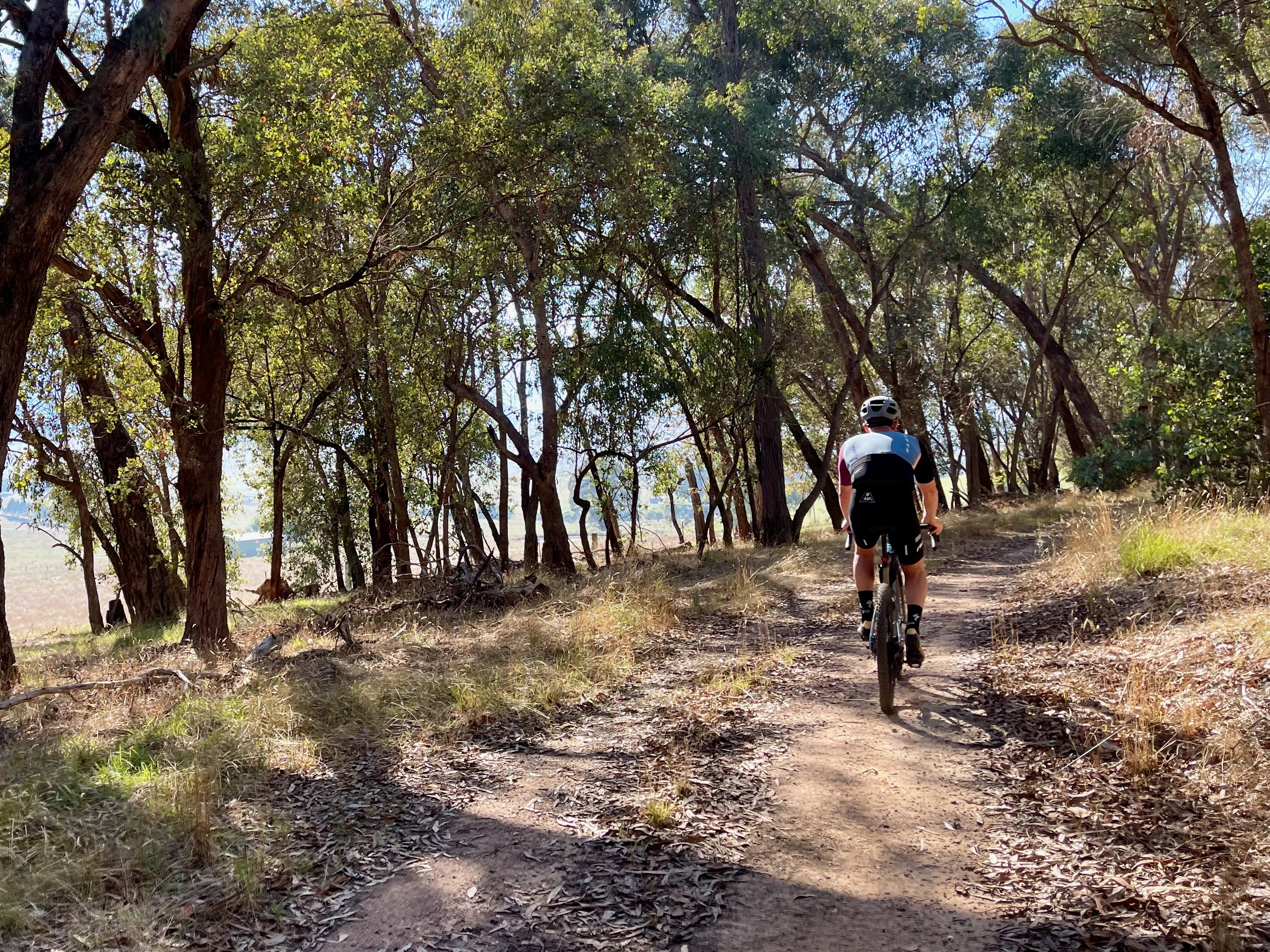 Cyclist riding on a gravel track through the native bushland
