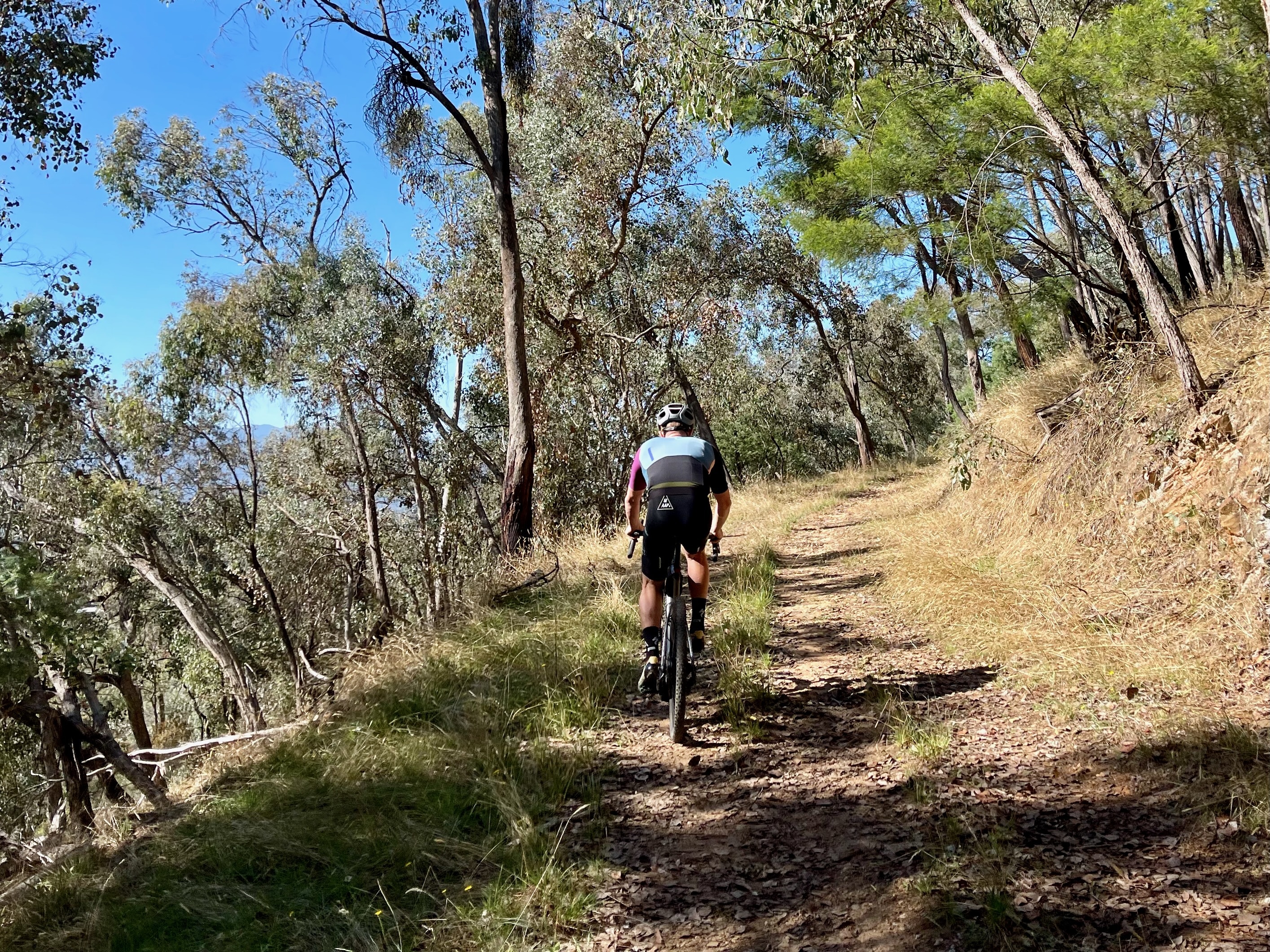 Cyclist riding up gravel double track through native bushland