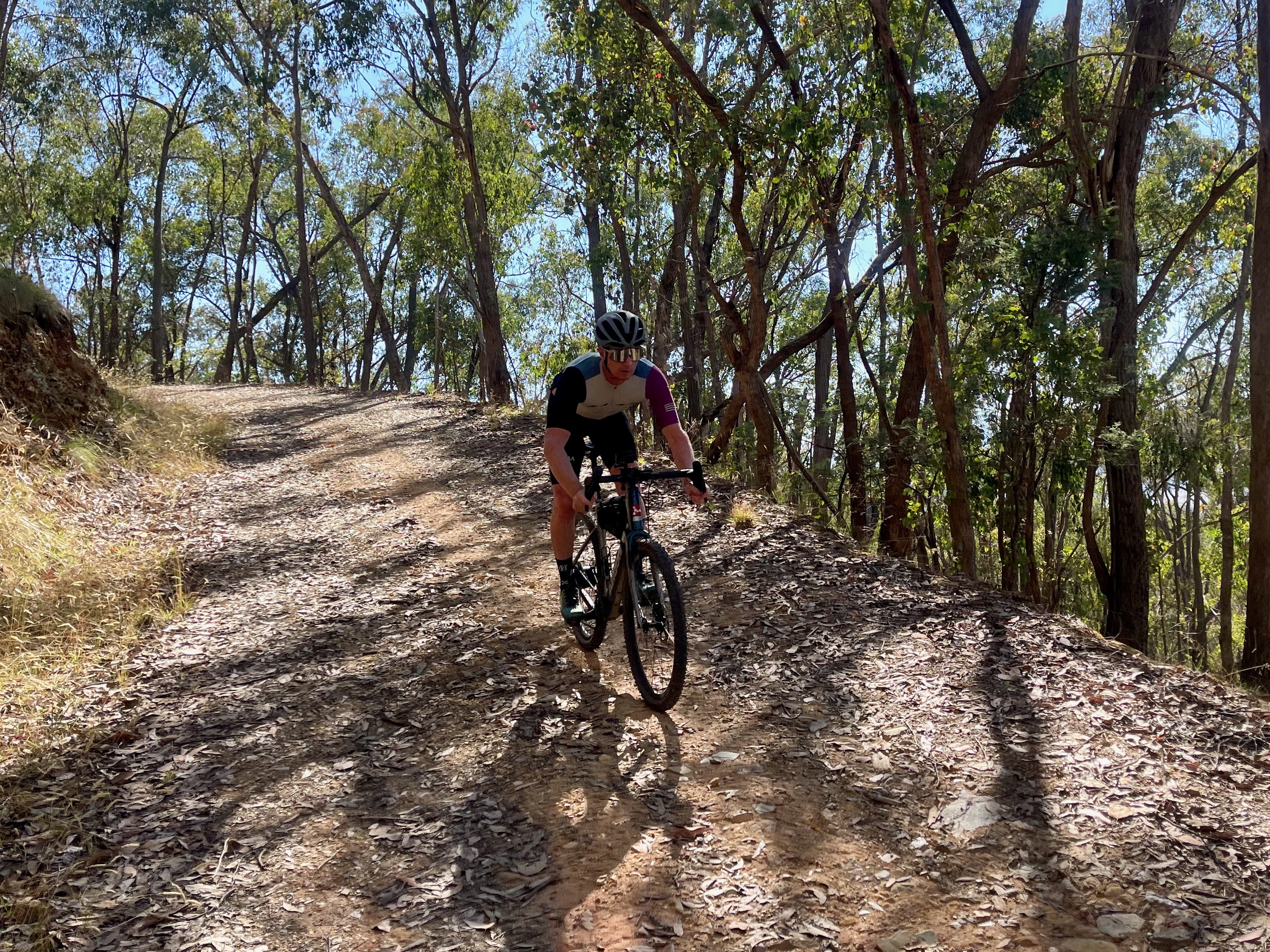 Cyclist in an athletic position on a gravel bike descending down a dirt track through native bushland on a sunny day