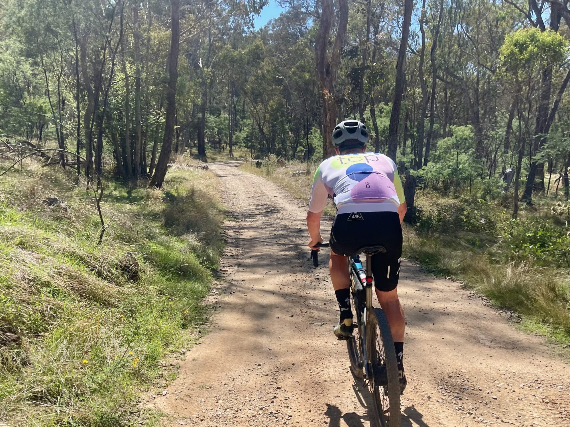 Cyclist riding dirt road through native bushland on a sunny day