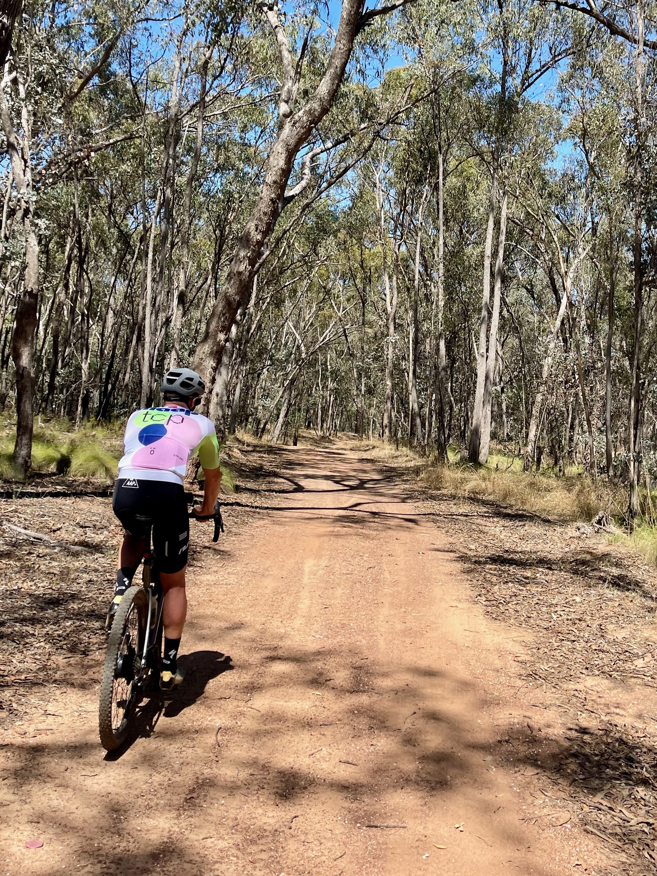 Cyclist riding a smooth dirt road through native bushland