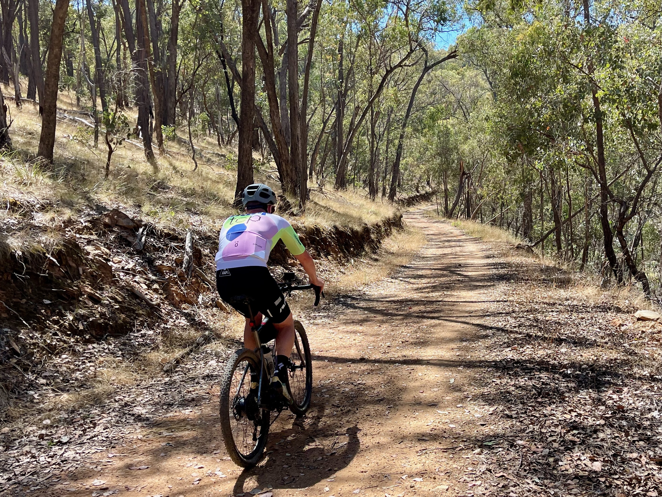 Cyclist riding on a dirt road winding up through the native bushland