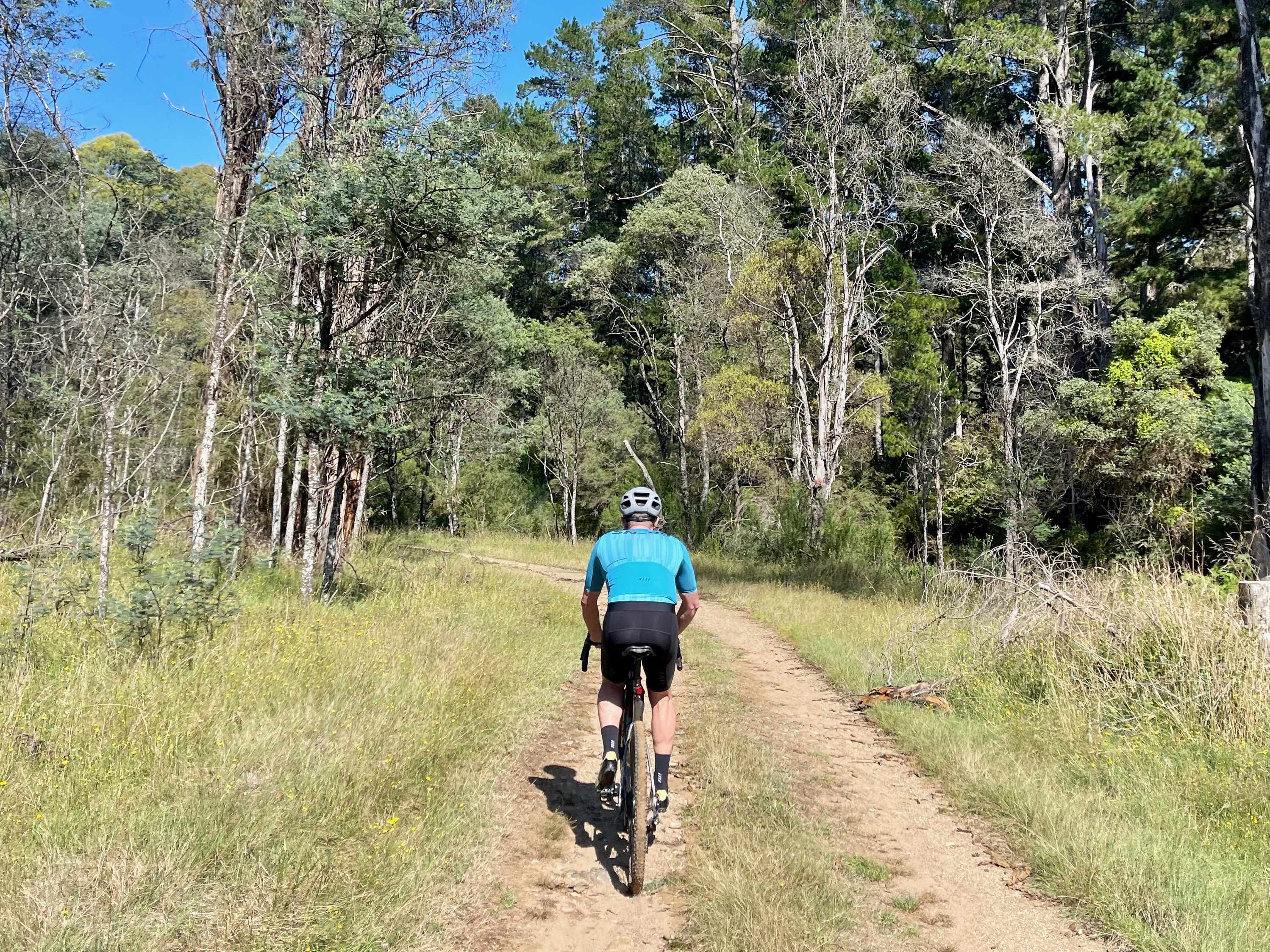 Cyclist riding along a smooth dirt double track through open native bushland and native forest in the background