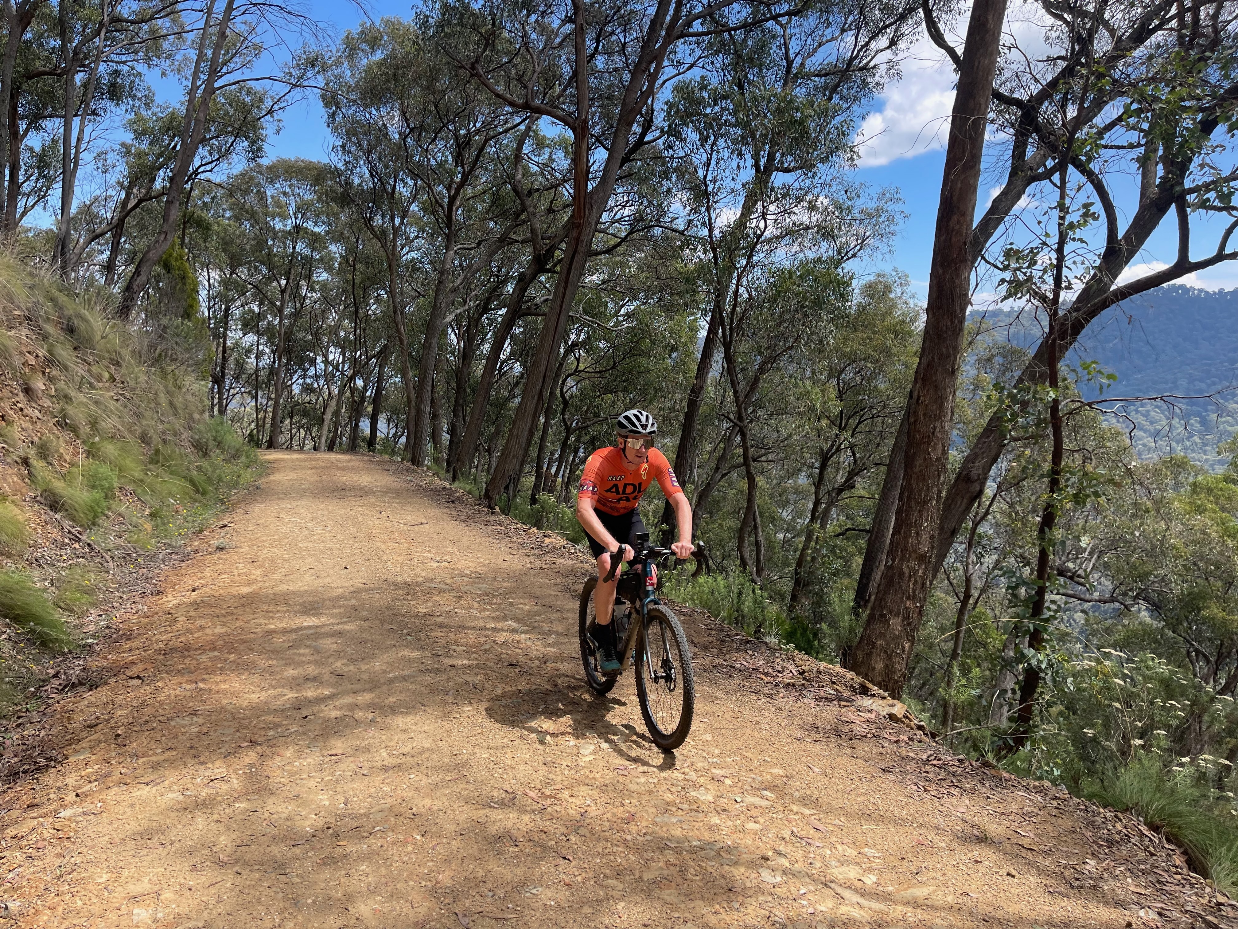 A cyclist climbing up a gravel road surrounded by native bushland