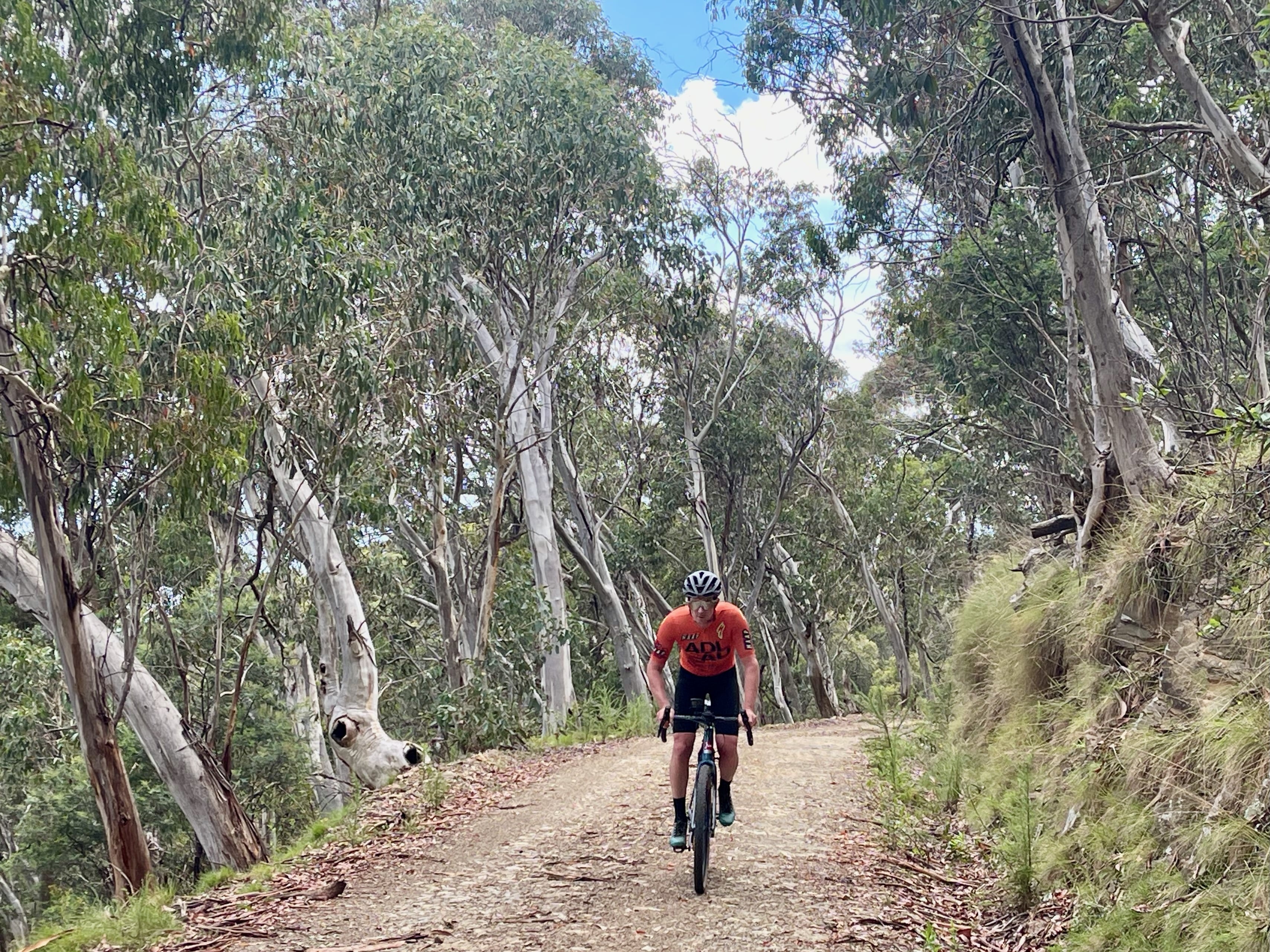 Cyclist climbing up through Native Bushland on a smooth gravel road