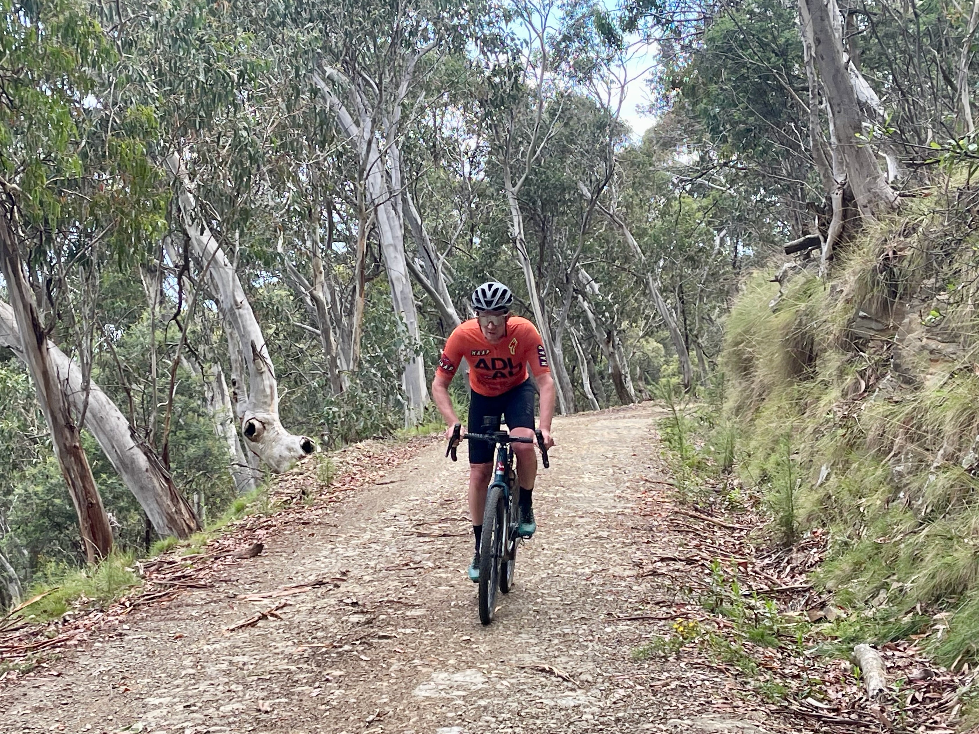 A cyclist standing out of the saddle climbing up a gravel road through native bushland