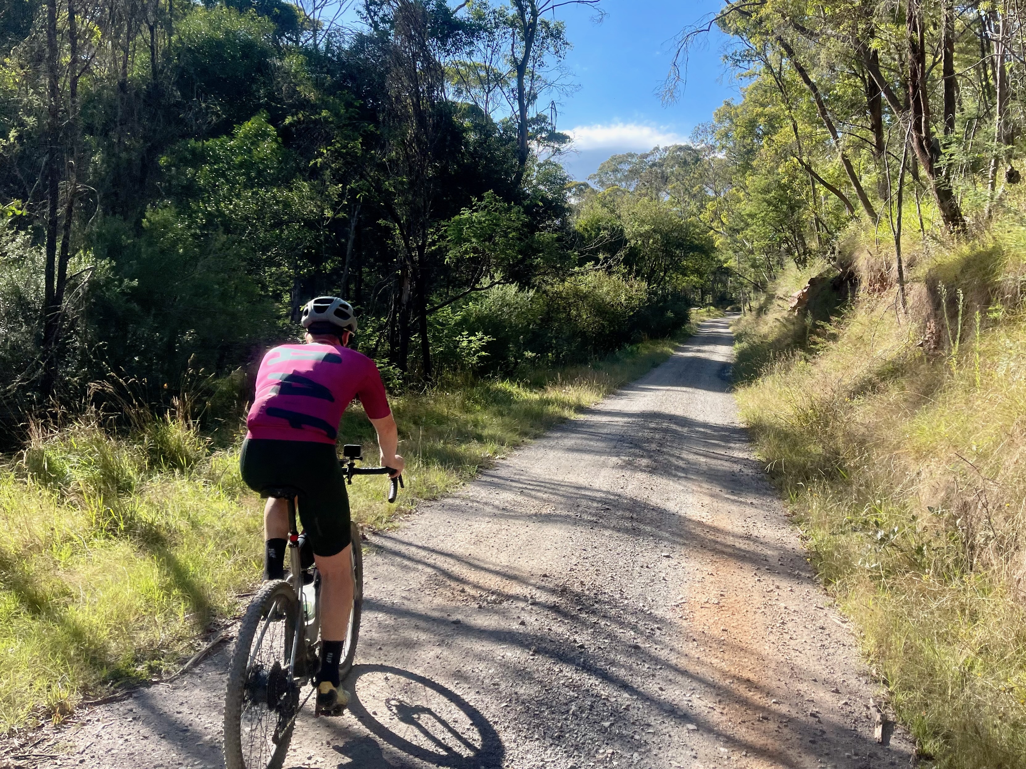 Cyclist riding on a gravel road through native bushland