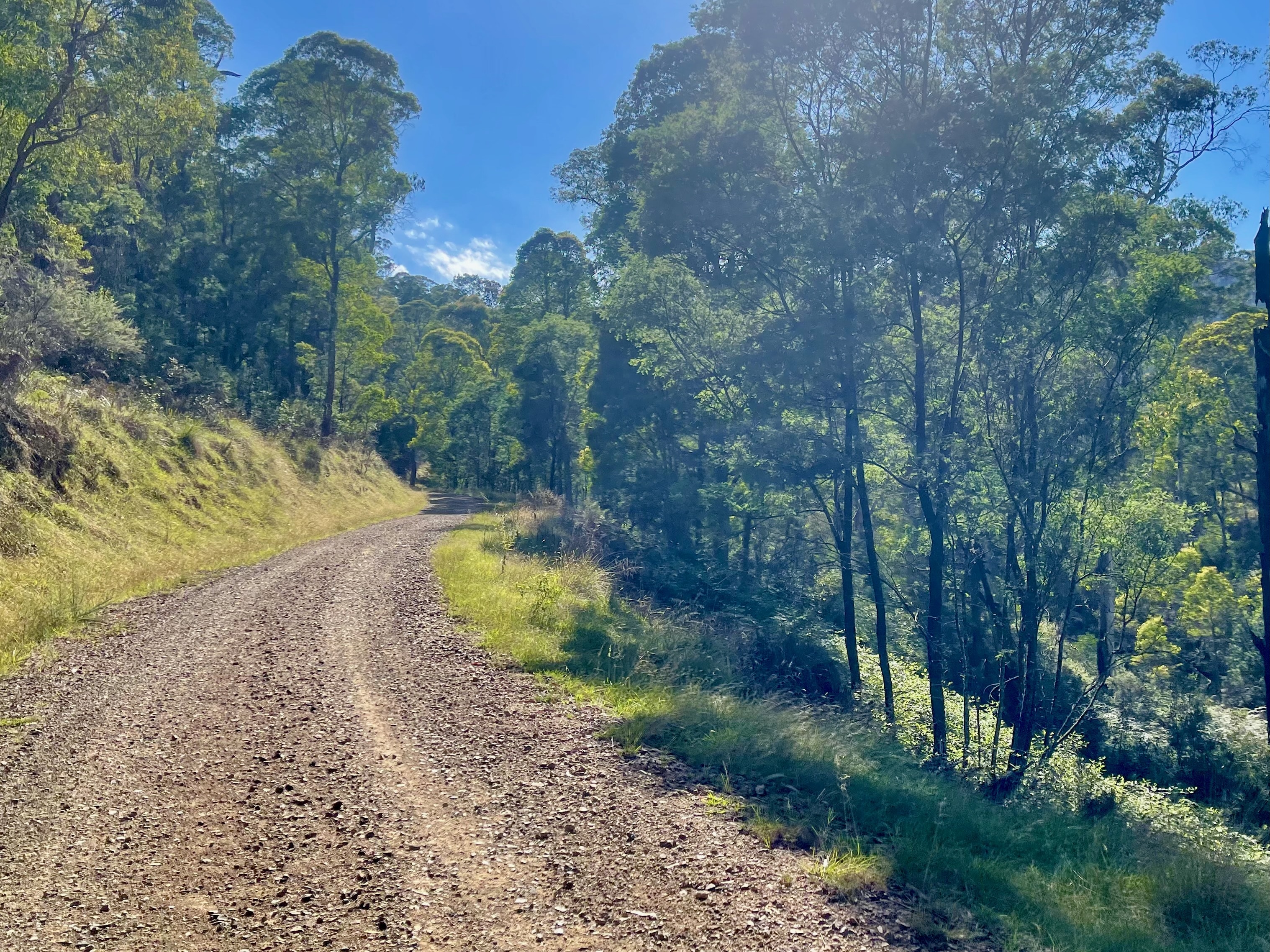 Smooth gravel road winding up through native bushland