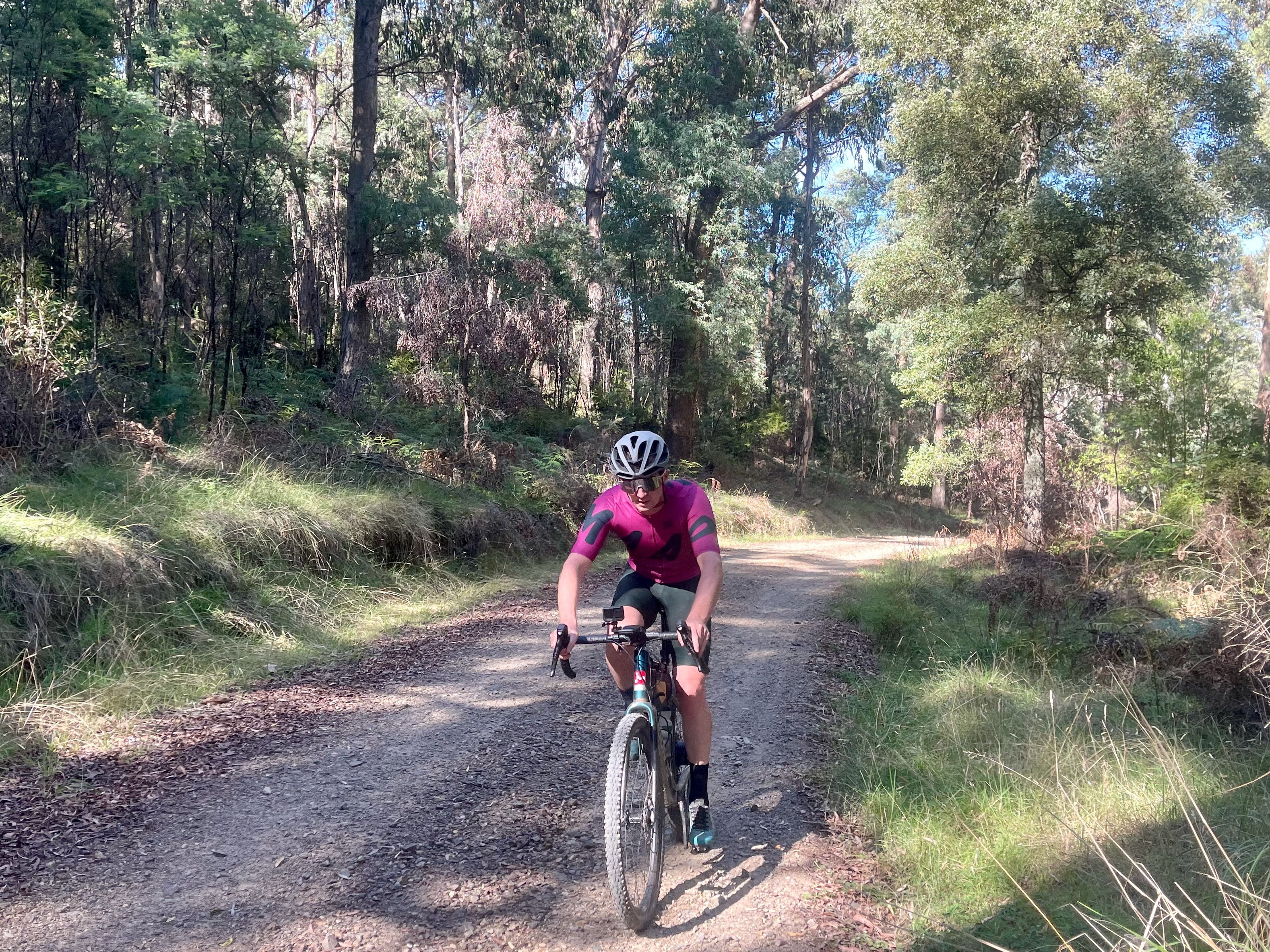 Cyclist riding on gravel roads through the forest on a sunny day