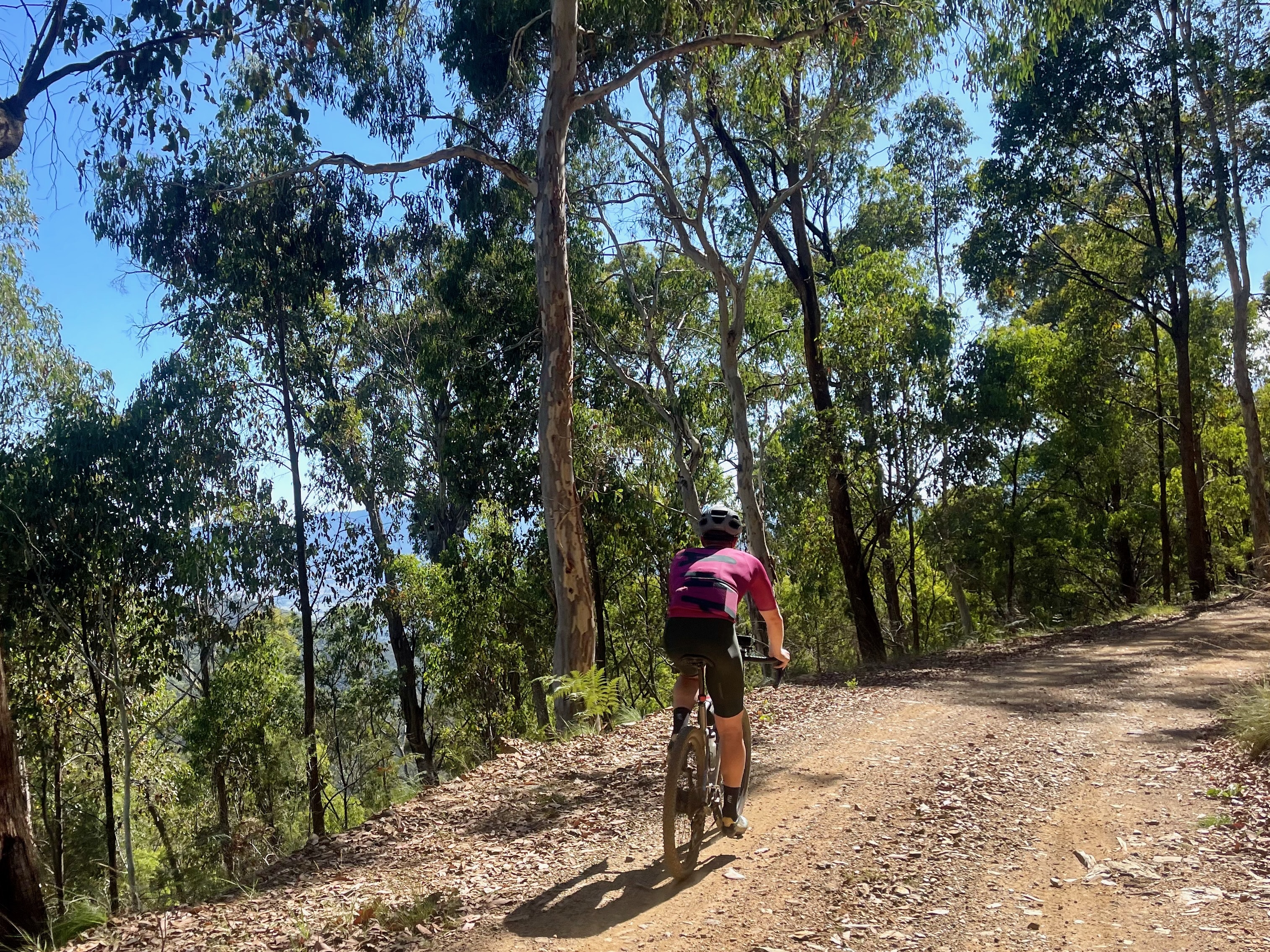 Cyclist descending on a gravel road through native bushland