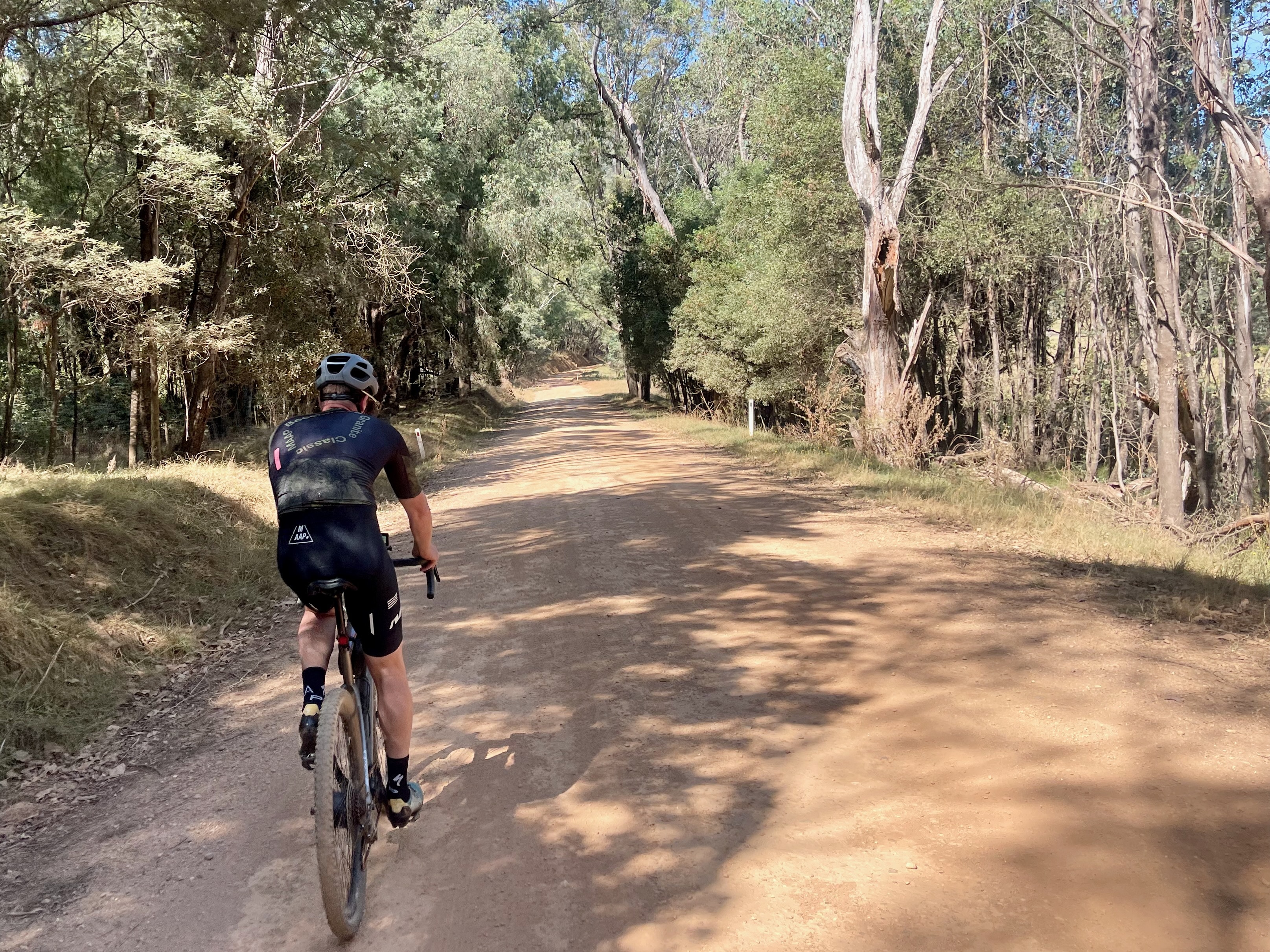 Cyclist riding on gravel road in native forest