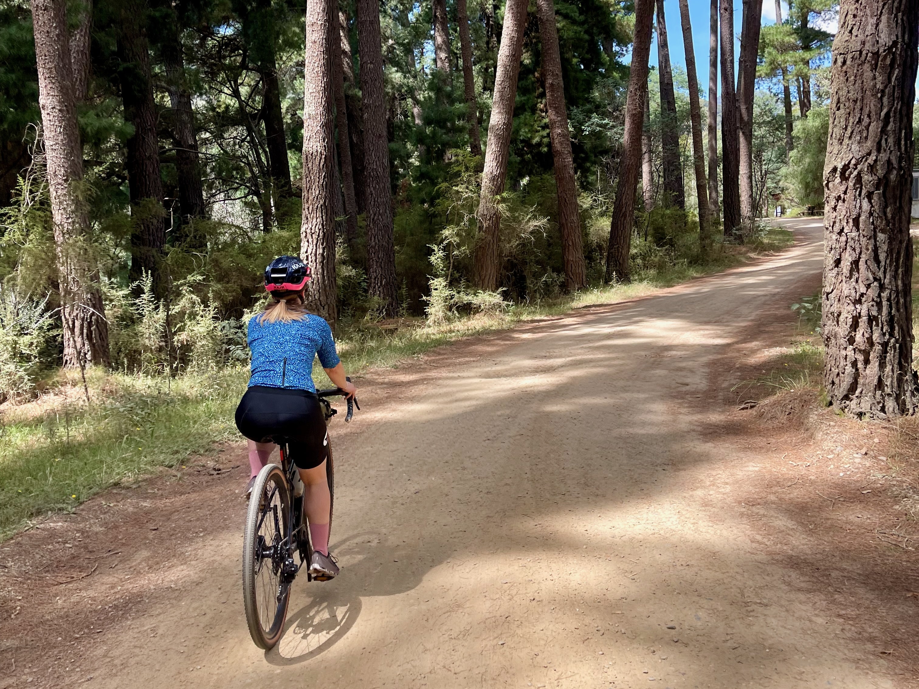 A female cyclist riding on a smooth gravel road lined with tall trees