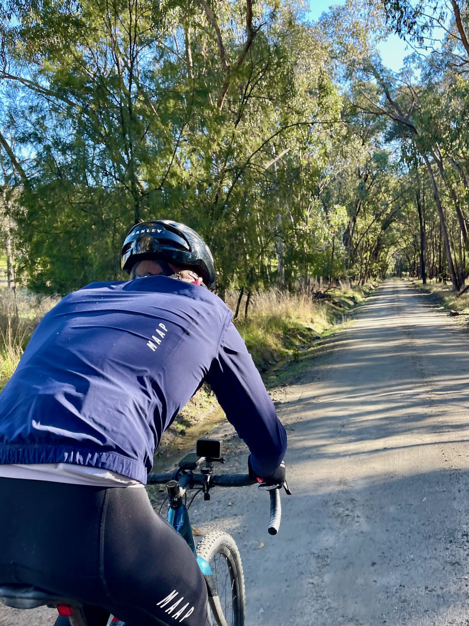 A cyclist gravel riding on a smooth gravel road through native forest