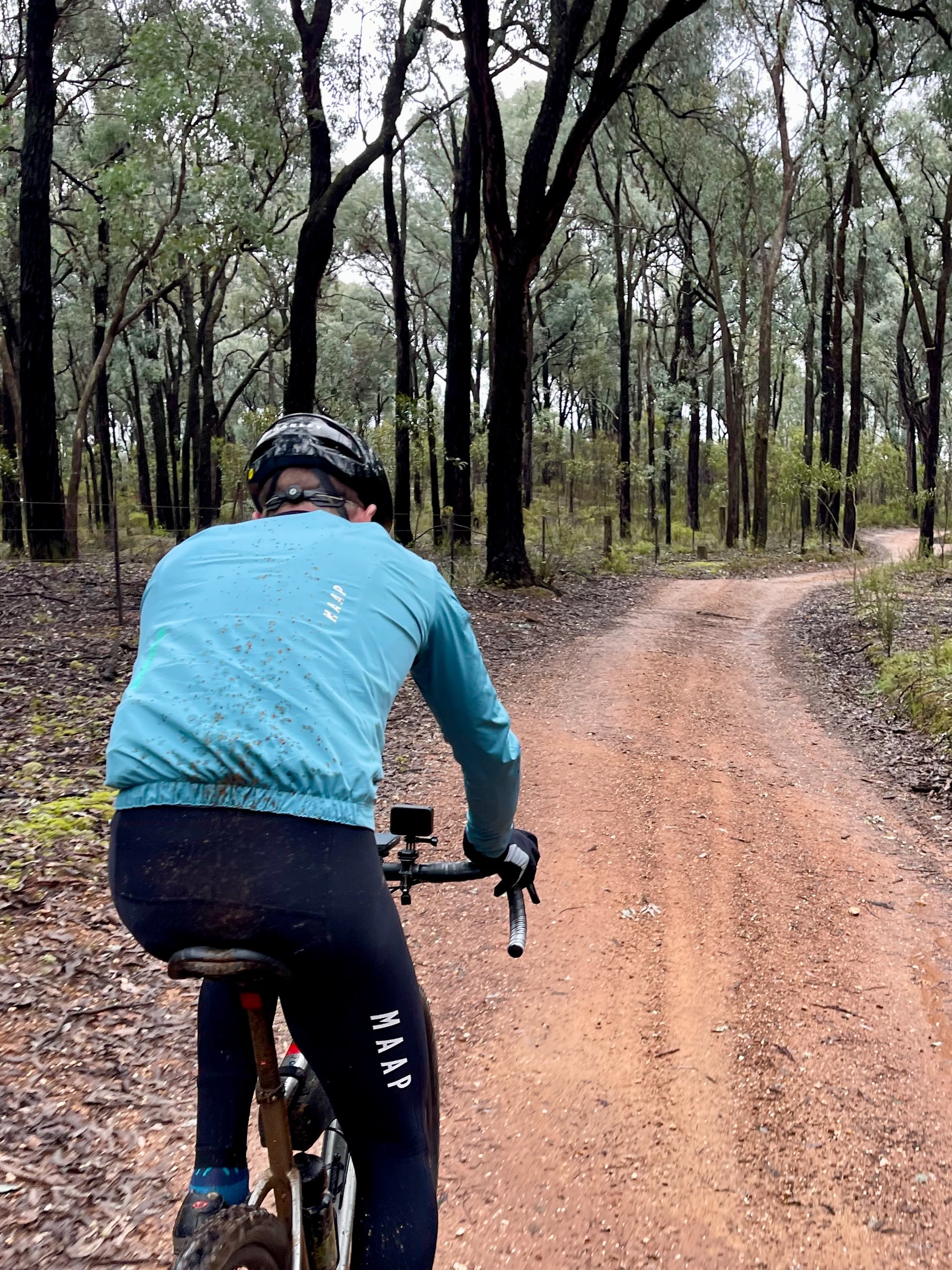 A cyclist riding on smooth gravel road surrounded by native forest