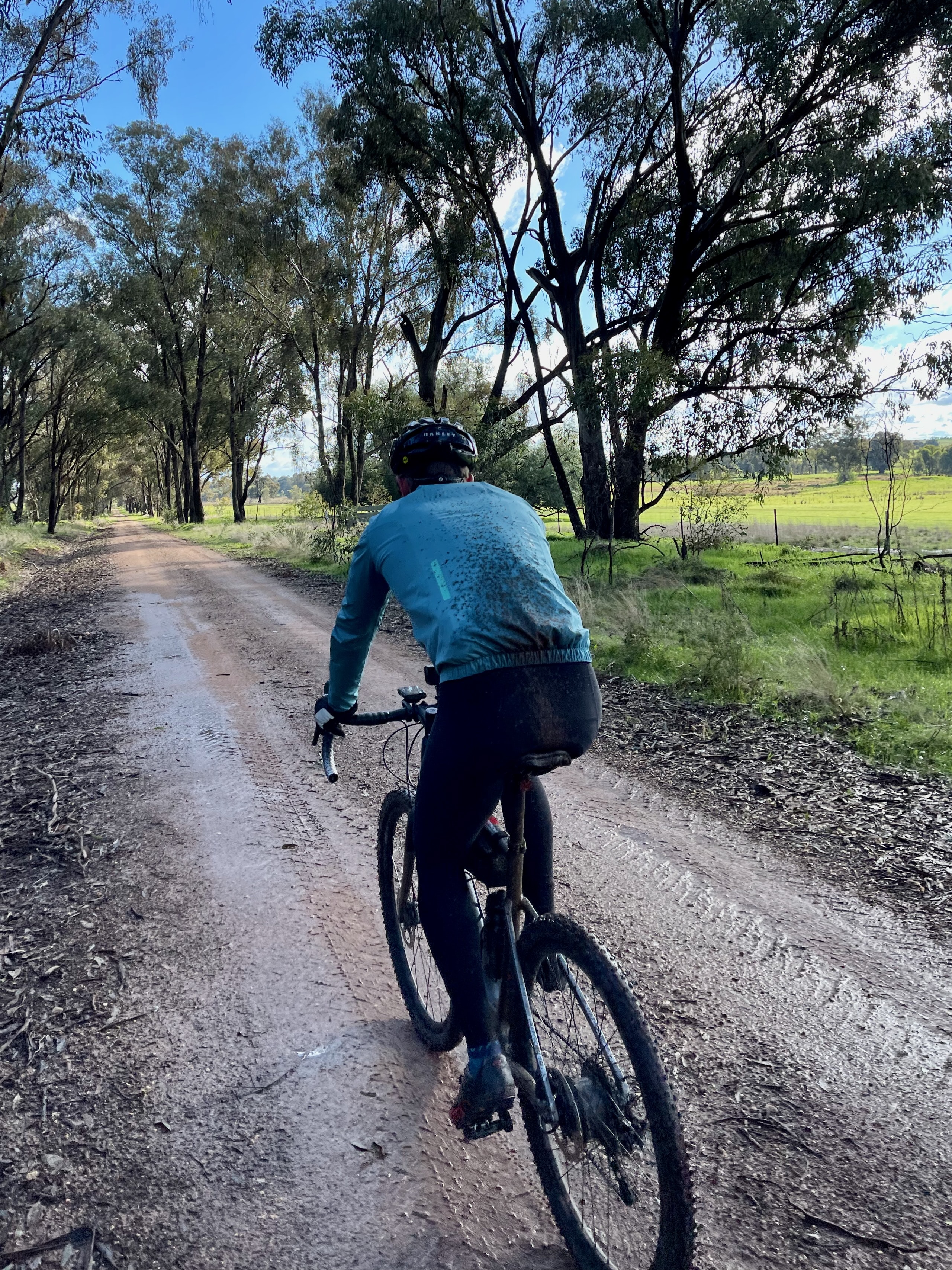 A cyclist riding on a wet gravel road surrounded by open farmland and native bush