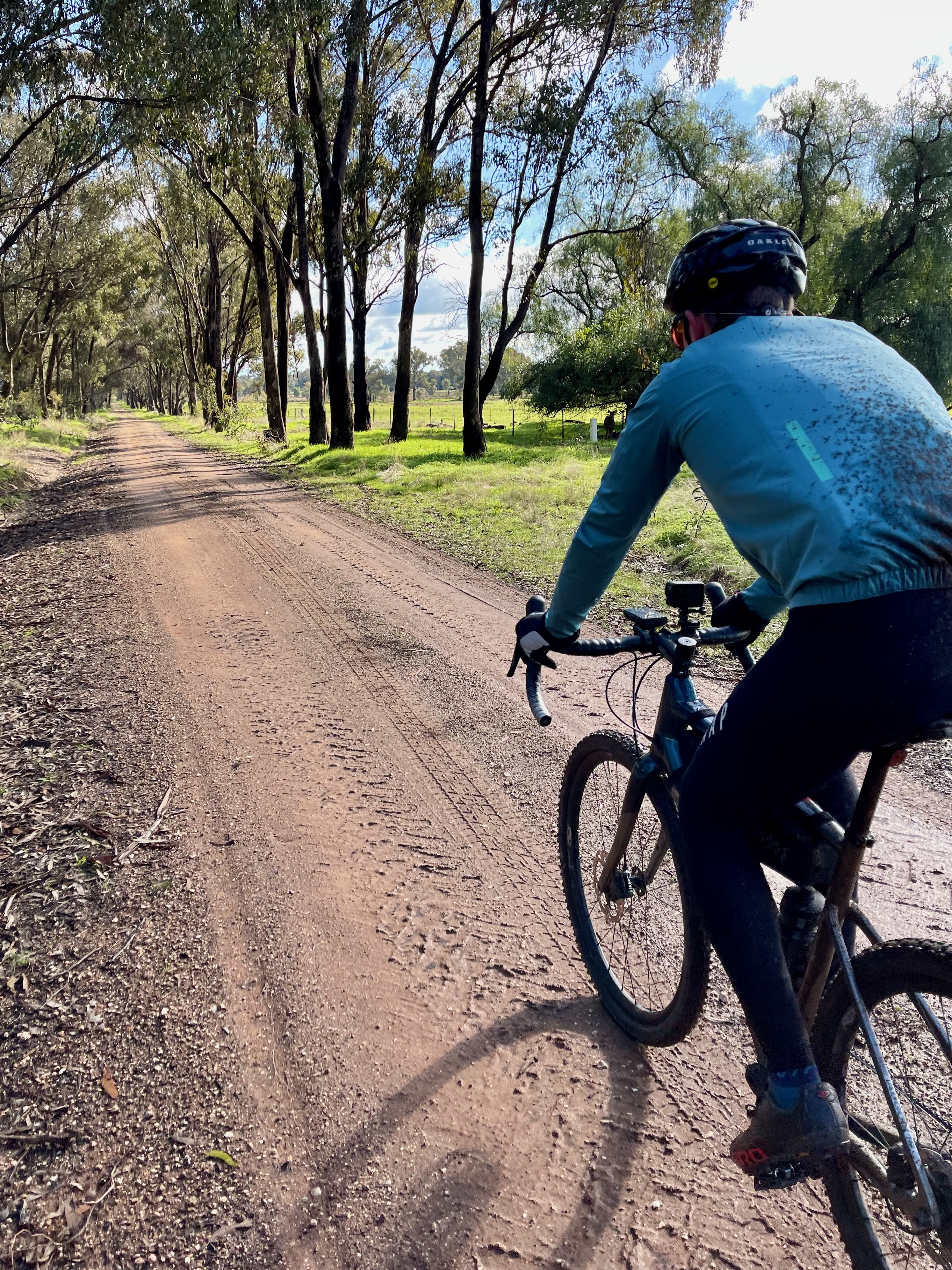 A cyclist riding on a smooth wet gravel road through open farmland and native bush