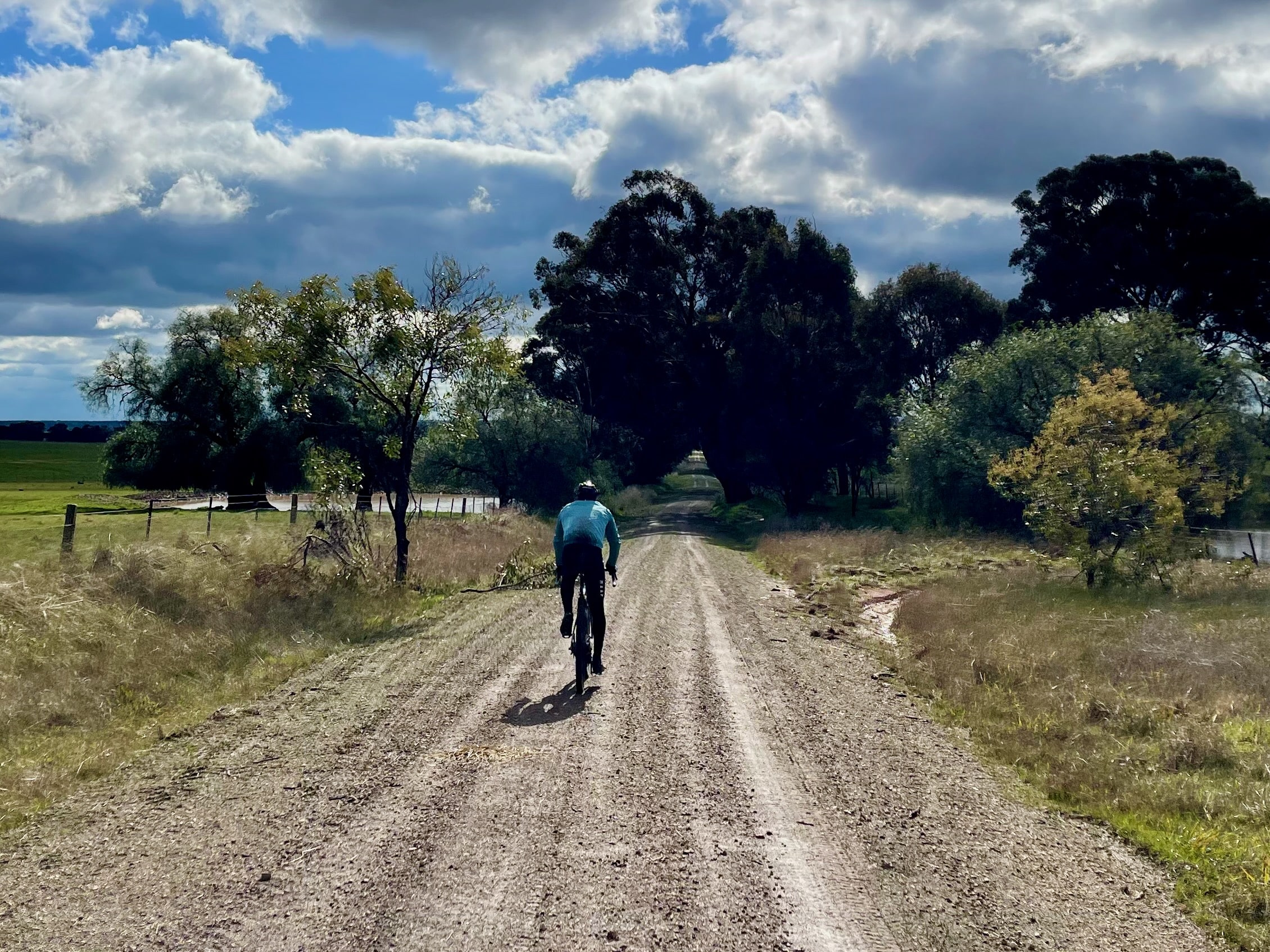 A cyclist riding on a dently climbing gravel road with native trees on either side of the road with grey clouds and partial sunshine