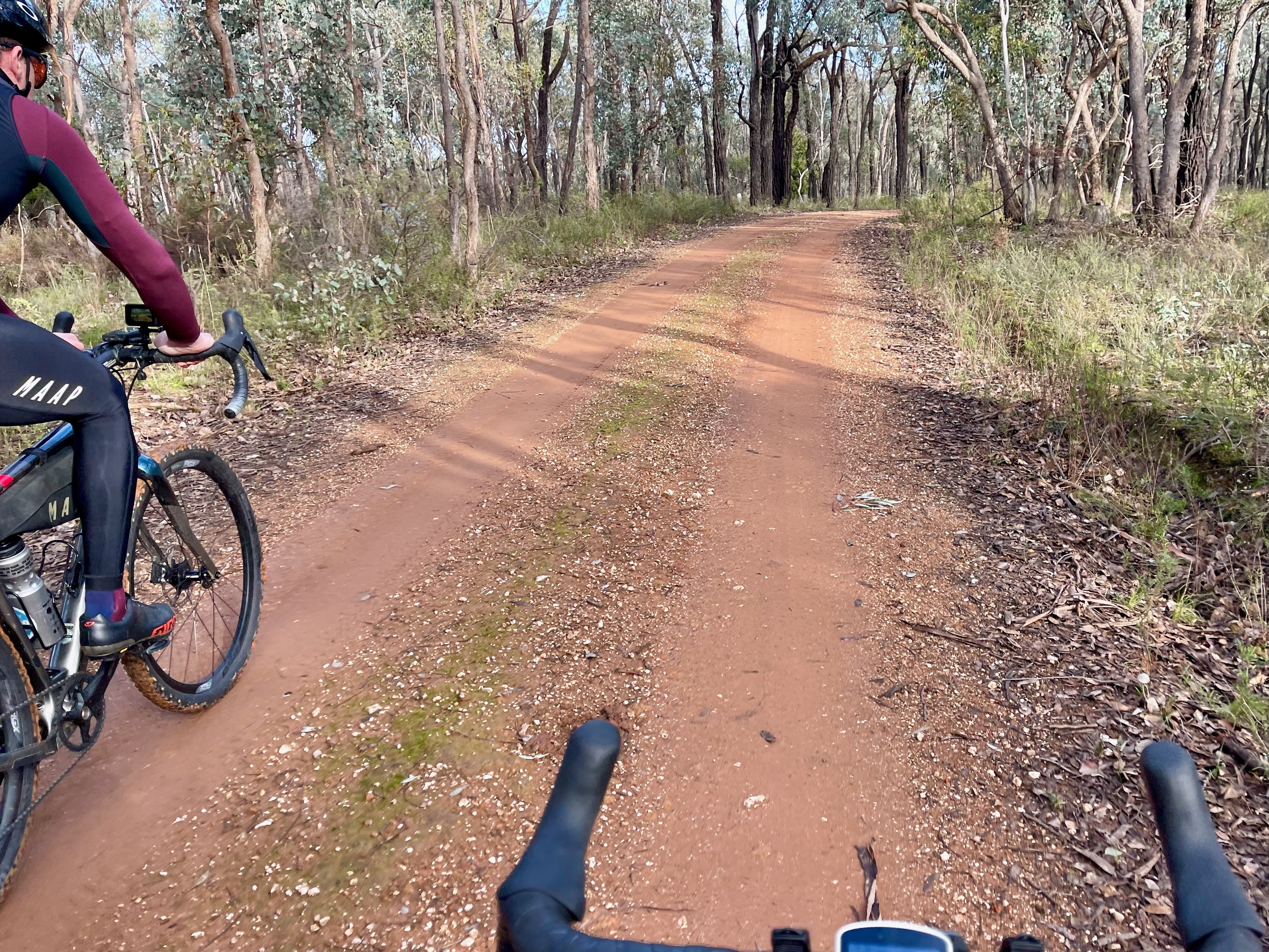 Cyclists riding through a native forest on a red smooth dirt road
