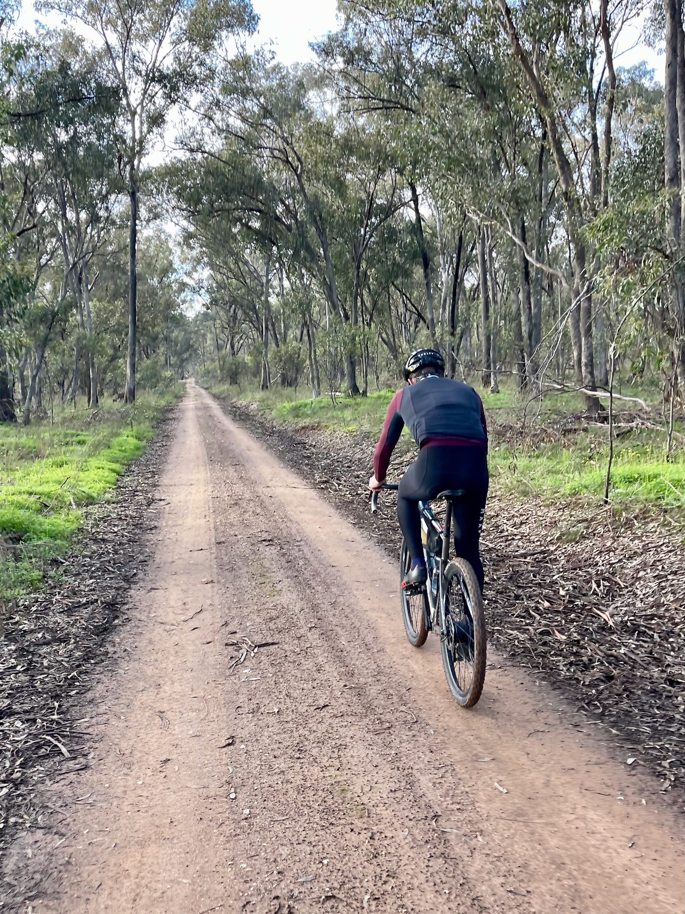 A long straight smooth gravel road with a cyclist riding through a native forest 