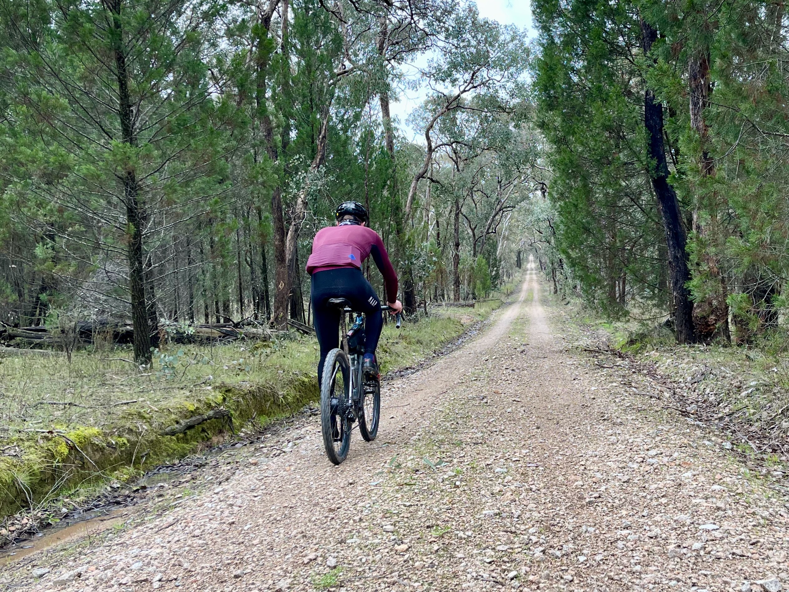 A cyclist riding on a chunky gravel road that is gently rising up through native bushland