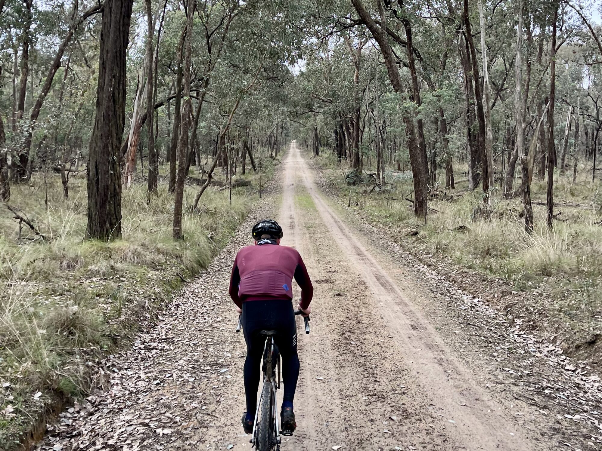  A cyclist riding on a smooth gravel road surrounded by native bush
