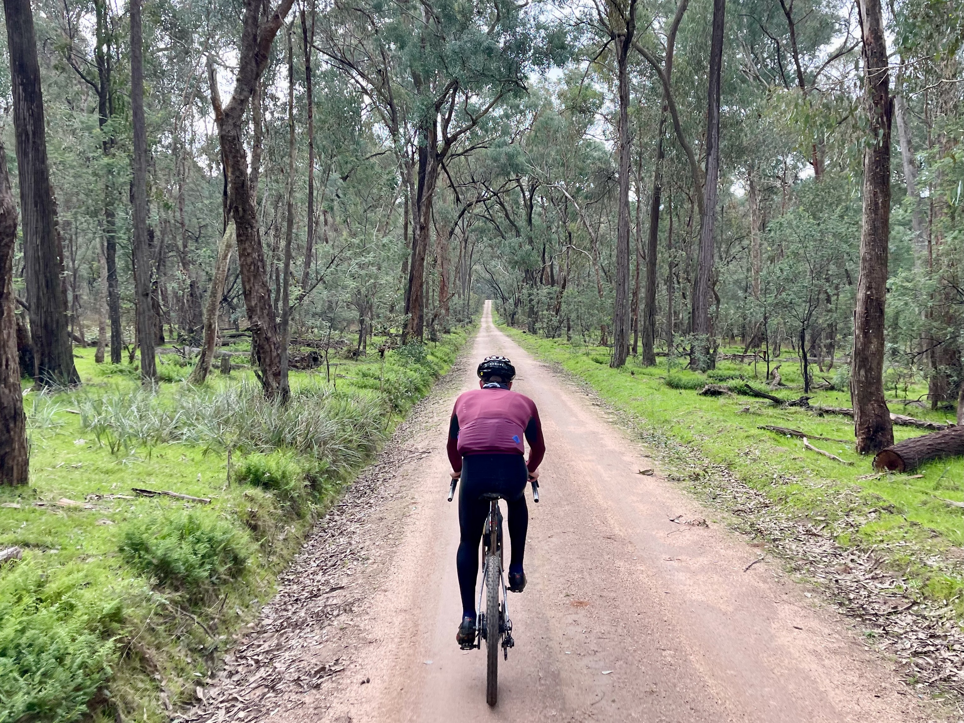 A cyclist riding on a smooth gravel road surrounded by lush green grass and native bushland 