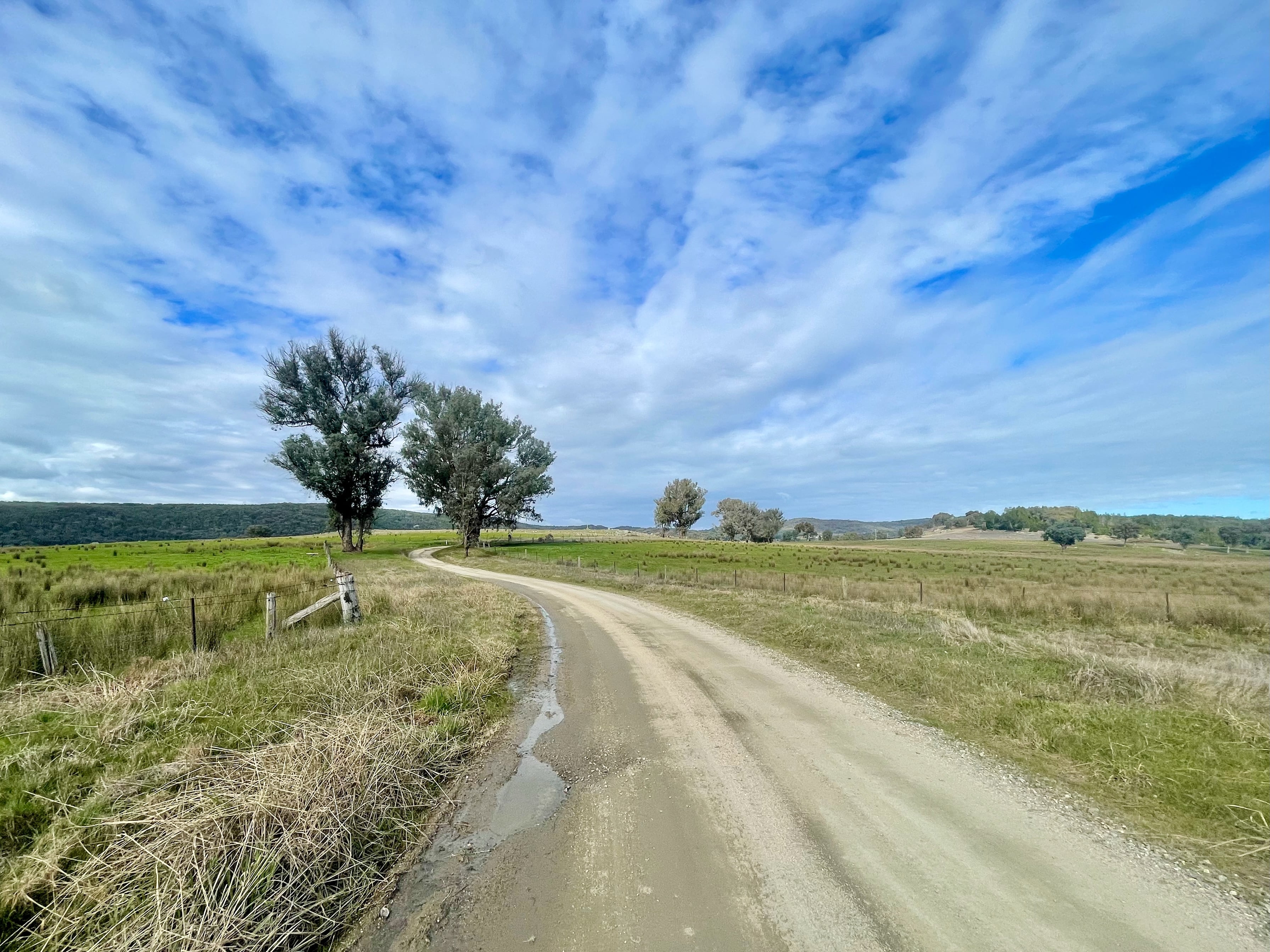 A smooth gravel road winding between two native trees  and gently rising into tyhe distance surrounded by open farmland and native bushland covered hills in the distance under partially cloudy skies