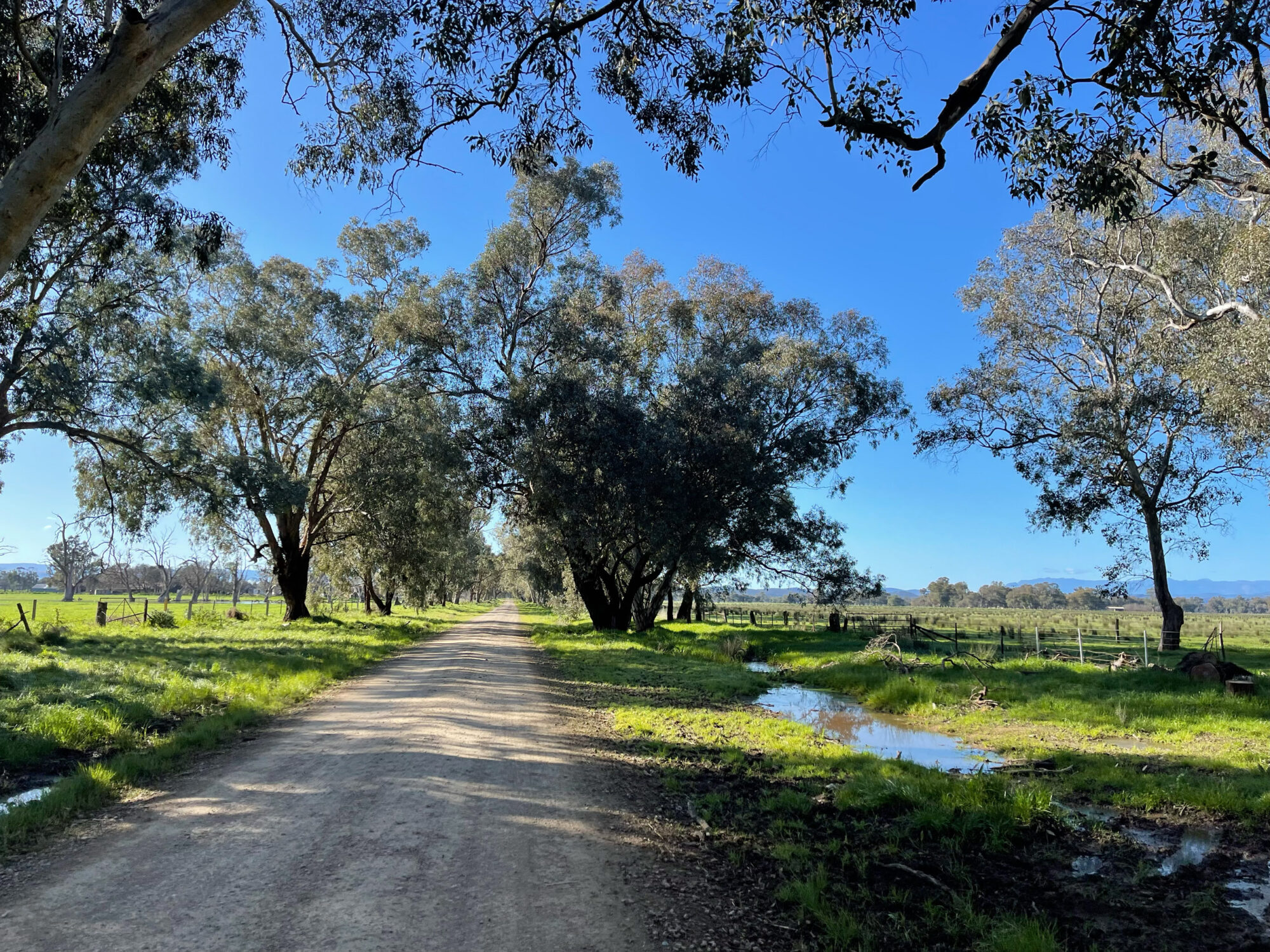 Cyclist riding on a smooth gravel road with Native bushland on one side  and open farmland on the other side of the road
