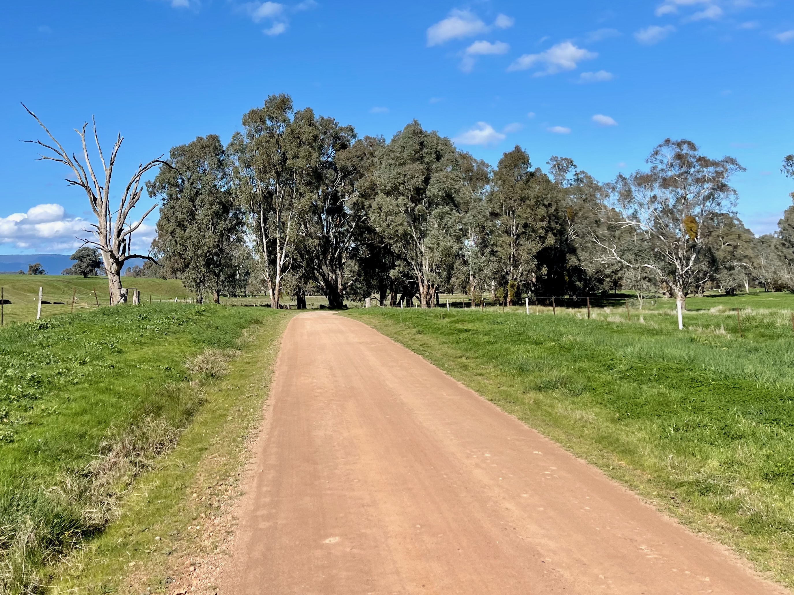 Gravel roads lined with native bushland in the distance