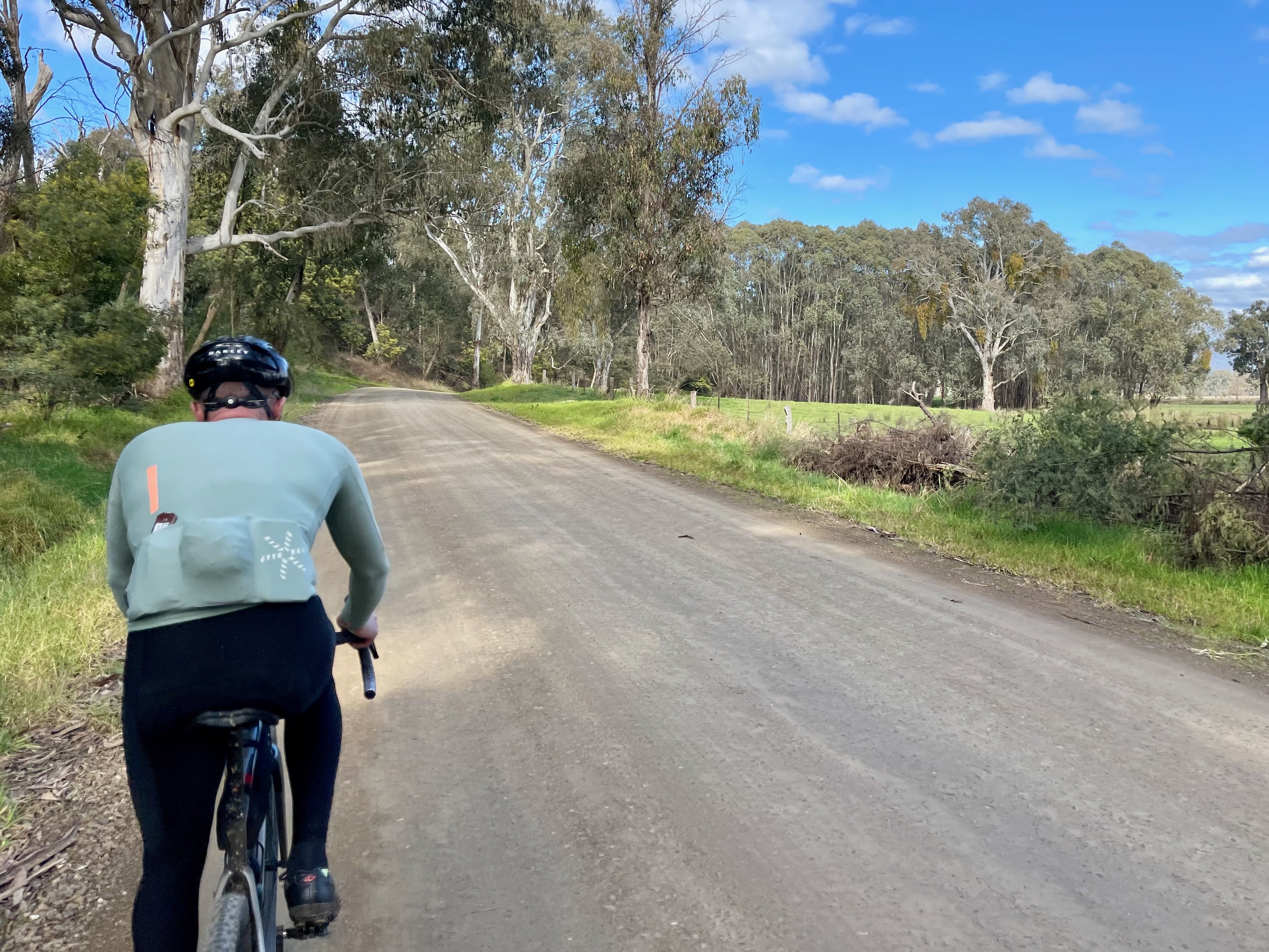 Cyclist riding beside native bushland and open farmland in the distance