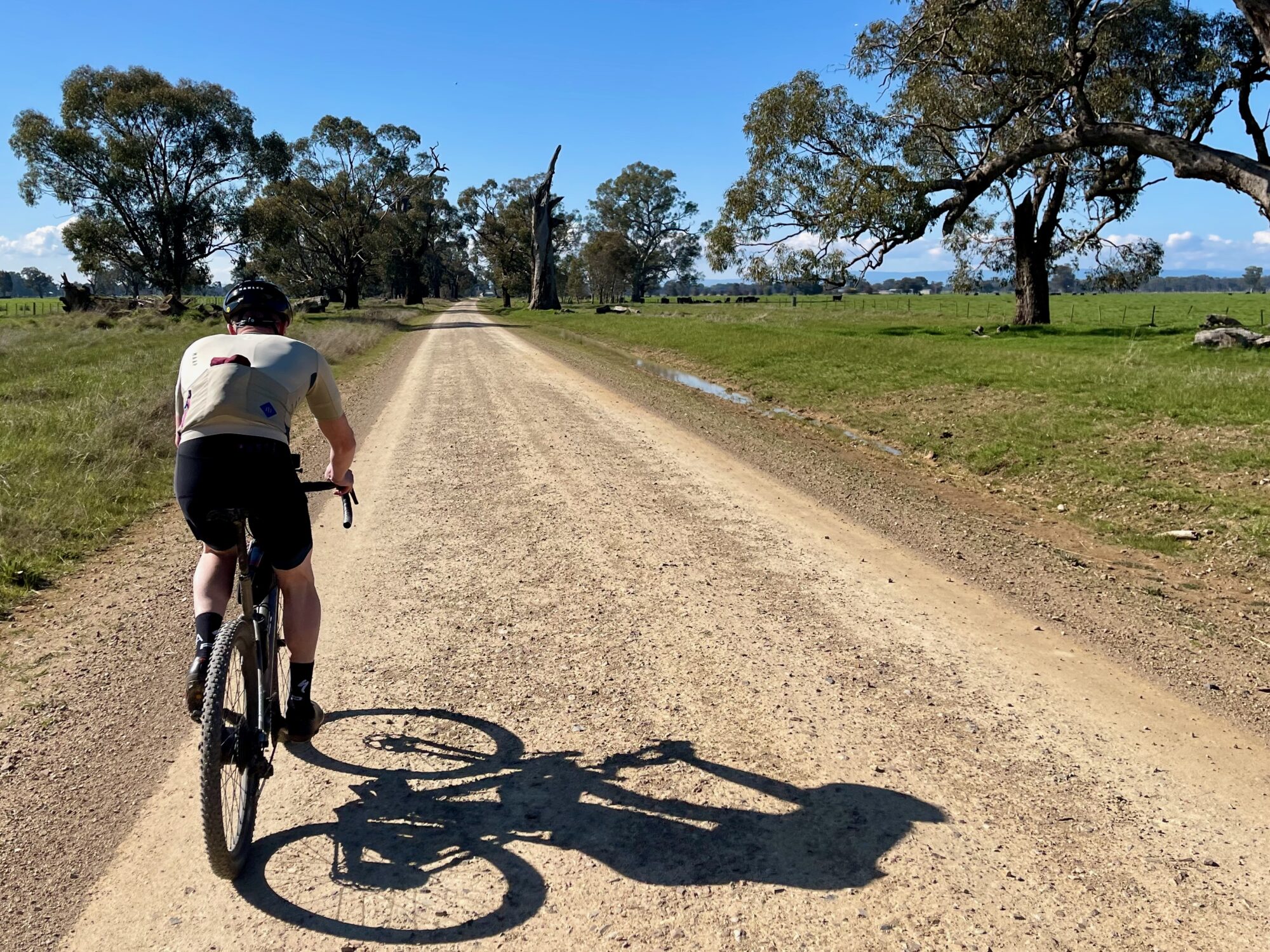 Cyclist riding on smooth gravel road through open farmland on a sunny day