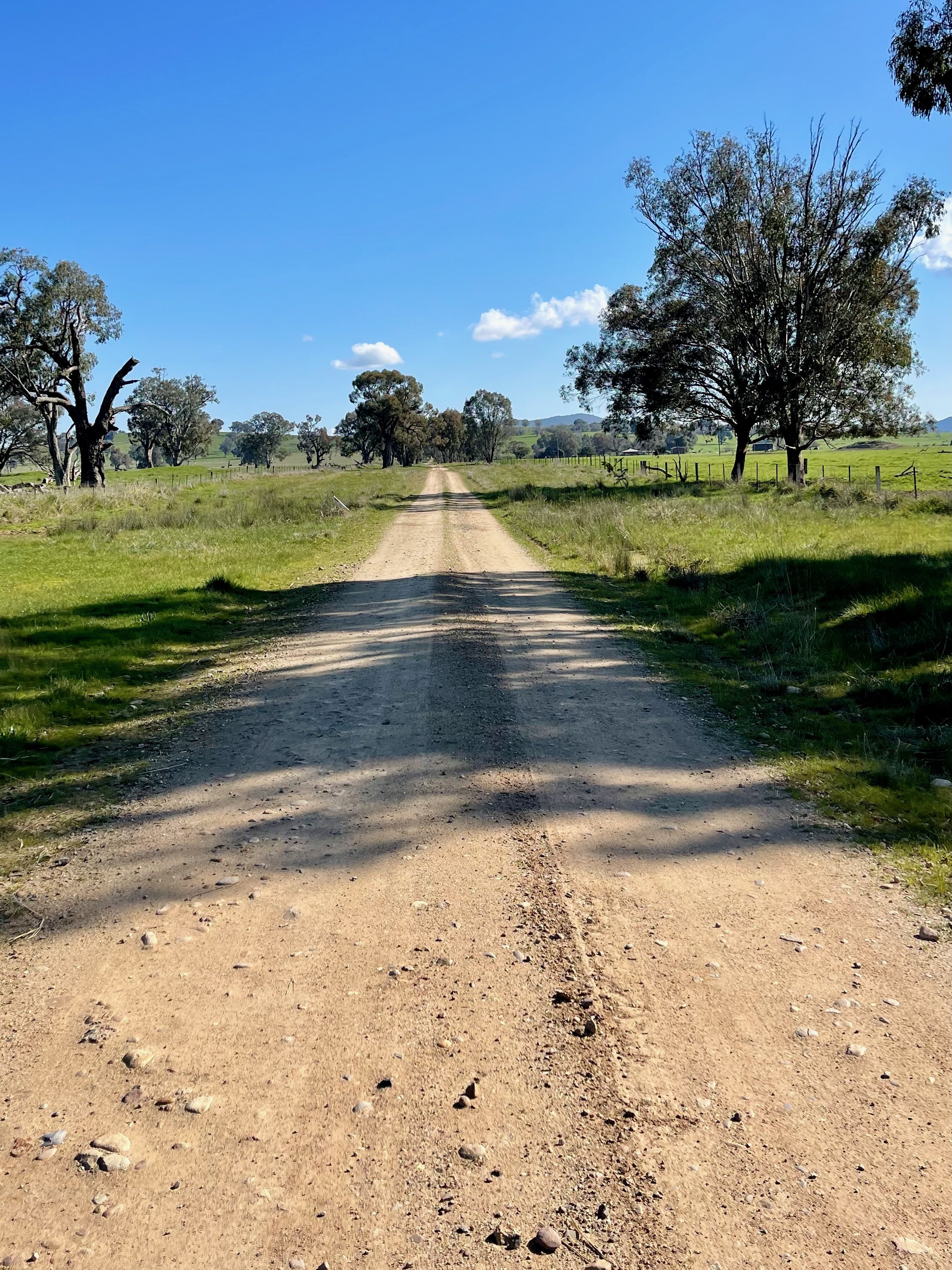 Gravel road cutting from open farmland with trees lining gravel road in the distance