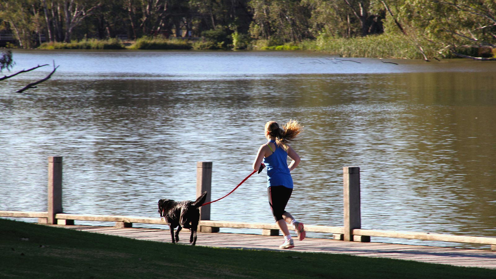 Lake Benalla Walking Track - Victoria's High Country
