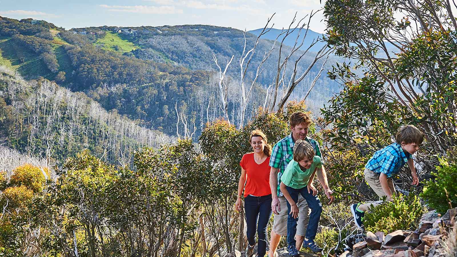 Little Mt Buller - Victoria's High Country