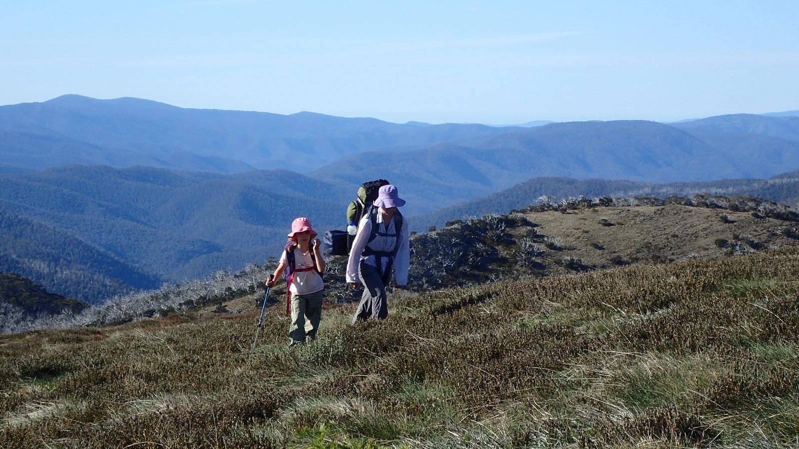 Mt Howitt Walking Track - Victoria's High Country