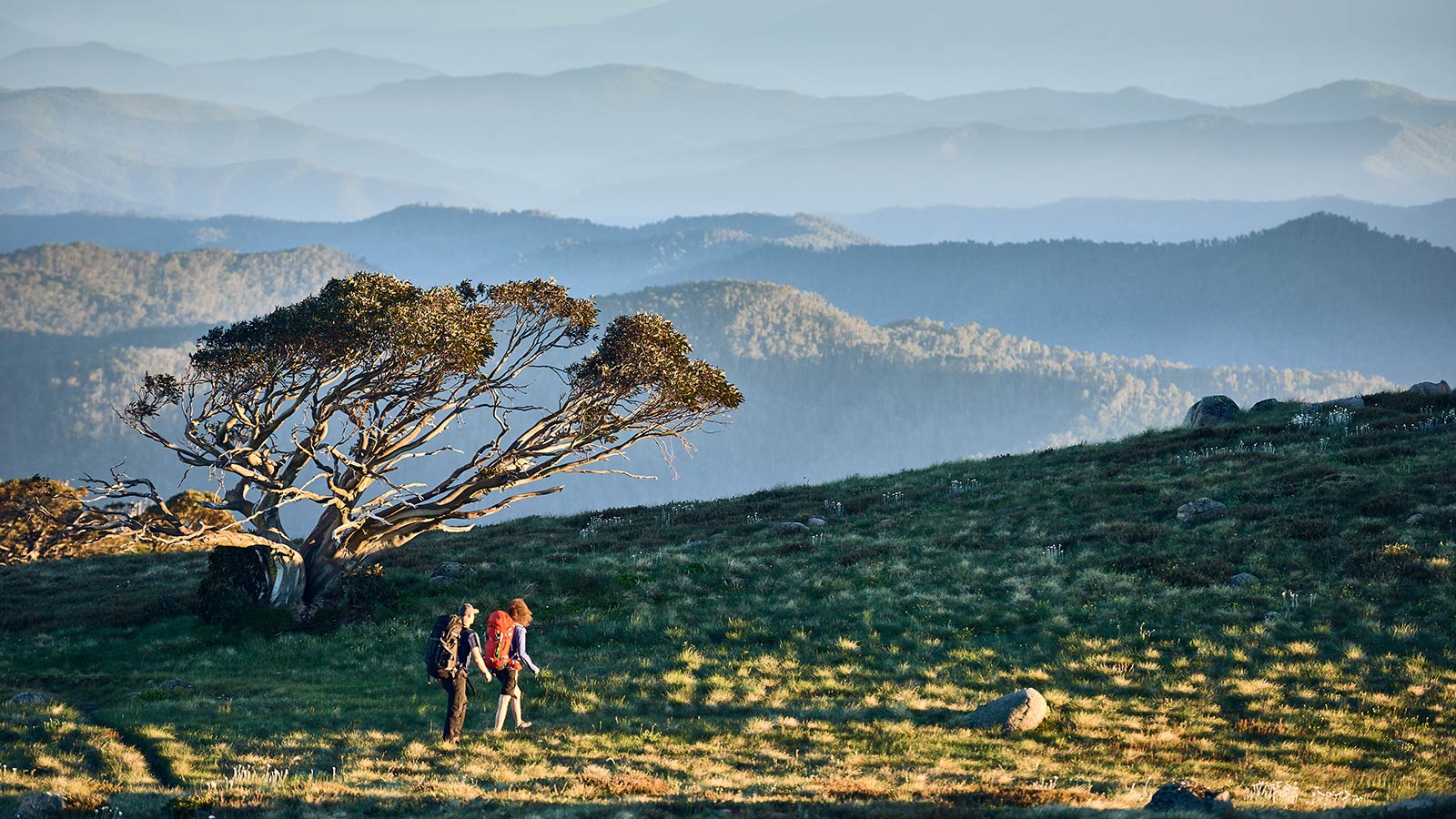 Mt Stirling Summit Loop - Victoria's High Country
