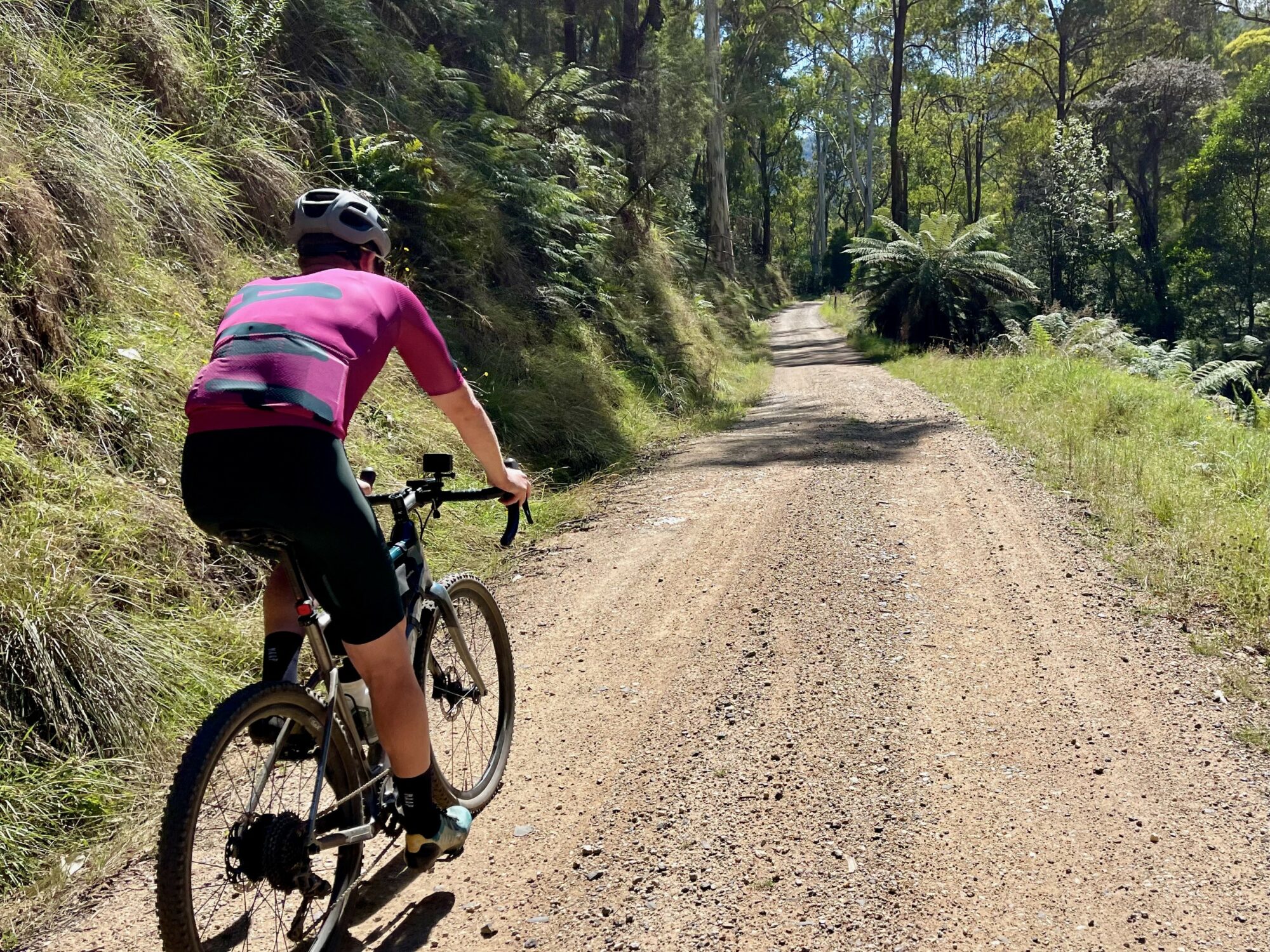 Cyclist riding up gravel road in native forest