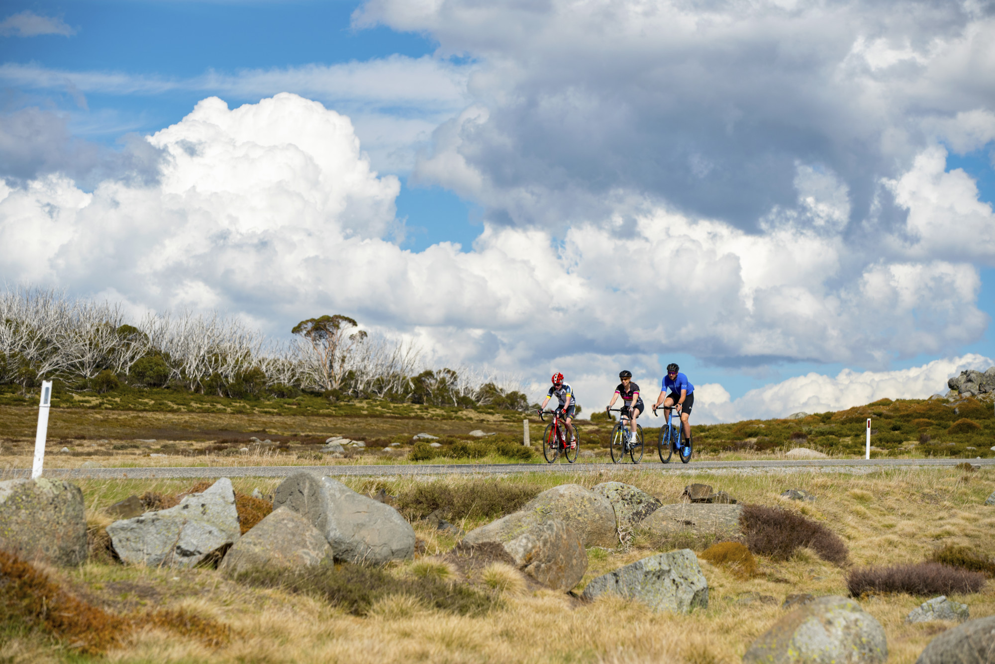 The Mount Cope Ride (Falls Creek) - Victoria's High Country
