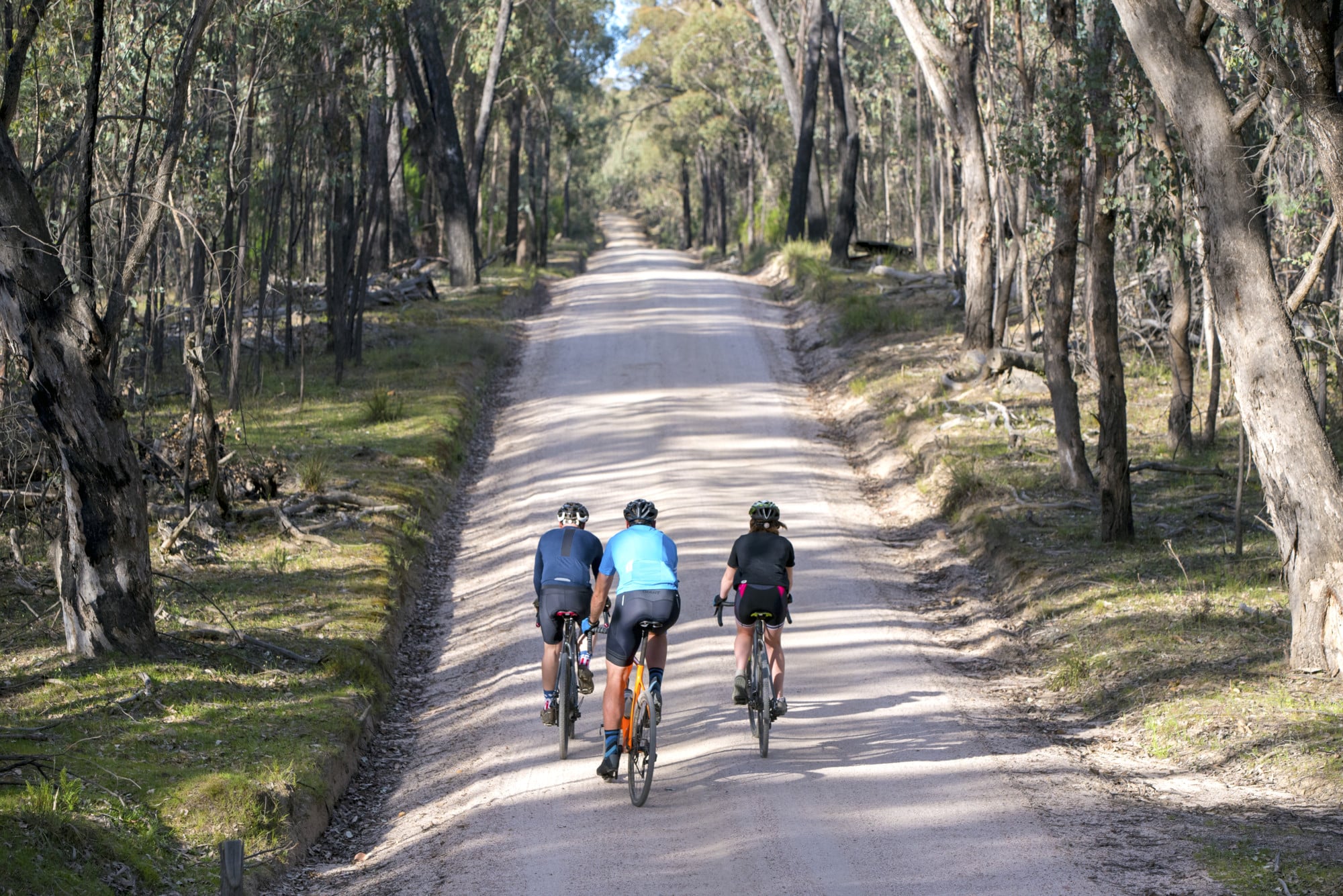 Family riding Beechworth's smooth gravel roads on the Beechworth - Chiltern National Park Loop route