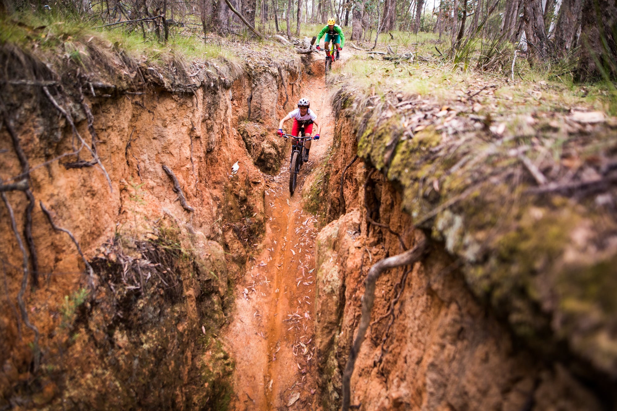 Riding with friends on Yackandandah MTB Park's iconic Carcass Canyon trail