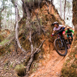 Cyclists riding through historic water races at Yackandandah Mountain Bike Park