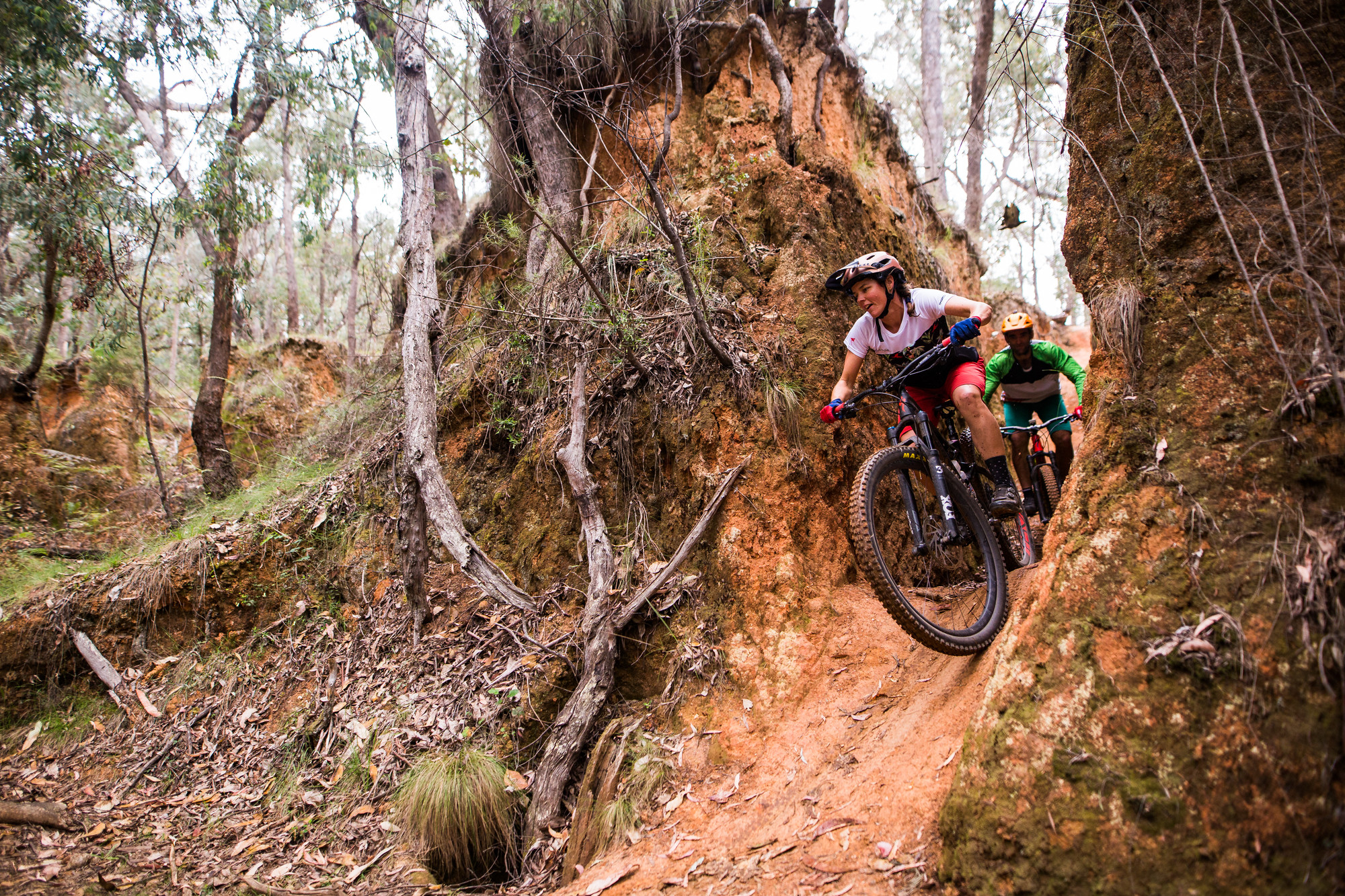 Cyclists riding through historic water races at Yackandandah Mountain Bike Park