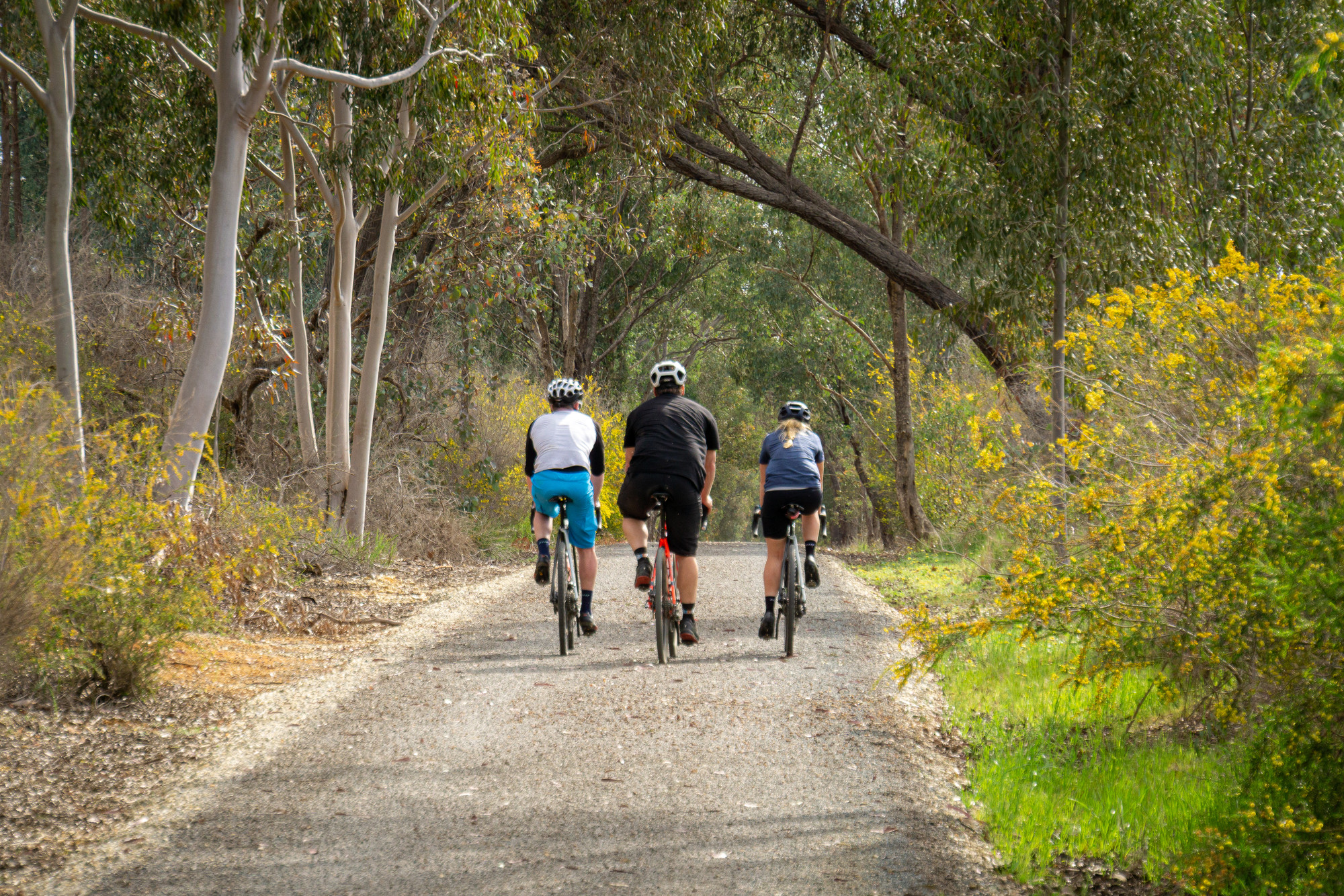 High Country Rail Trail - Tallangatta to Old Tallangatta