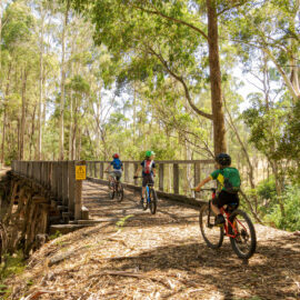 High Country Rail Trail - Shelley Station to Tallangatta