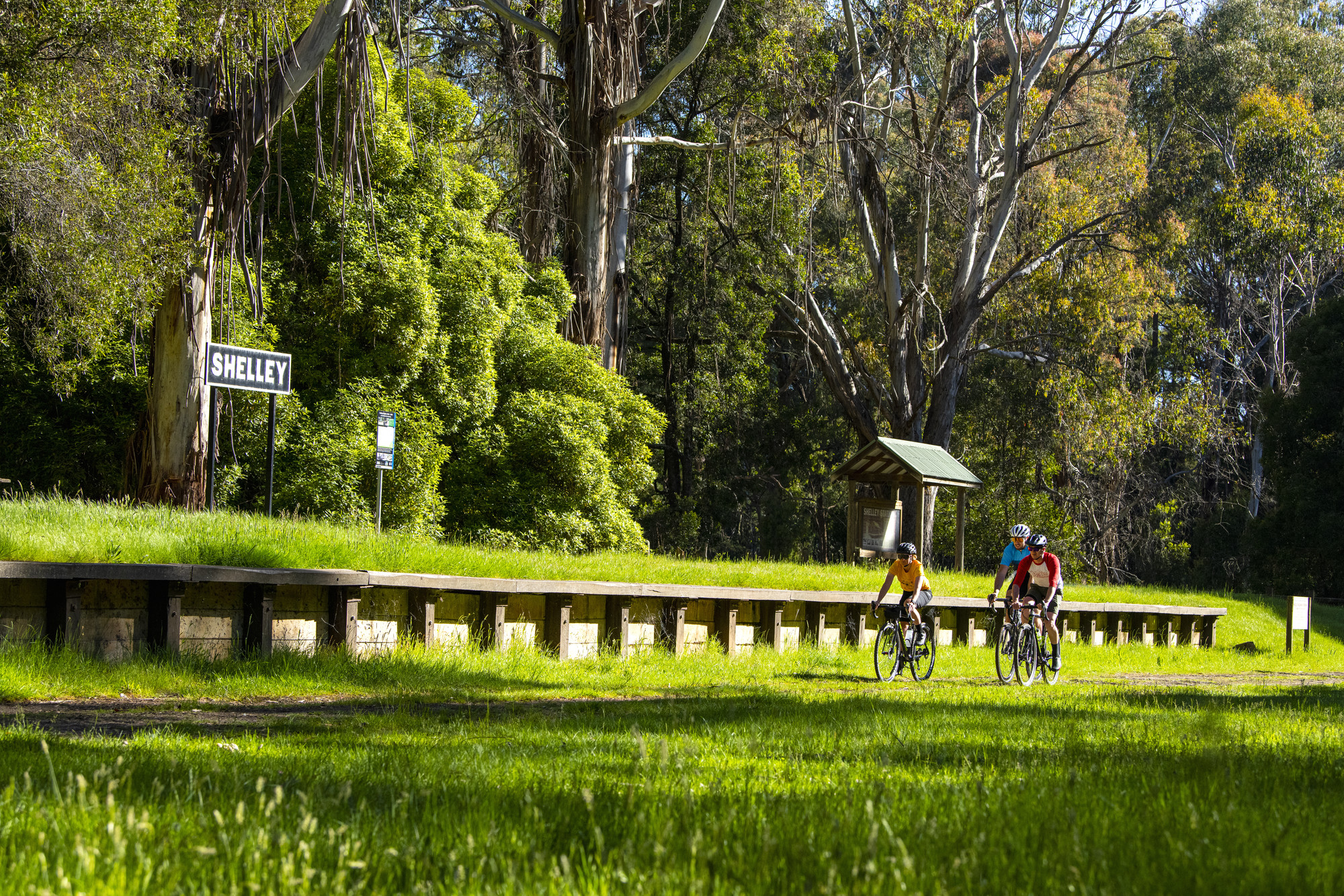 High Country Rail Trail - Shelley Station to Tallangatta