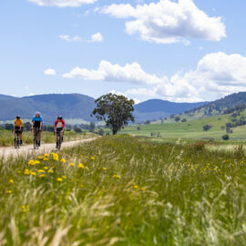 High Country Rail Trail - Shelley Station to Tallangatta