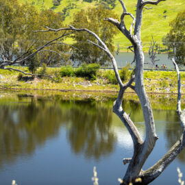 High Country Rail Trail - Tallangatta to Old Tallangatta