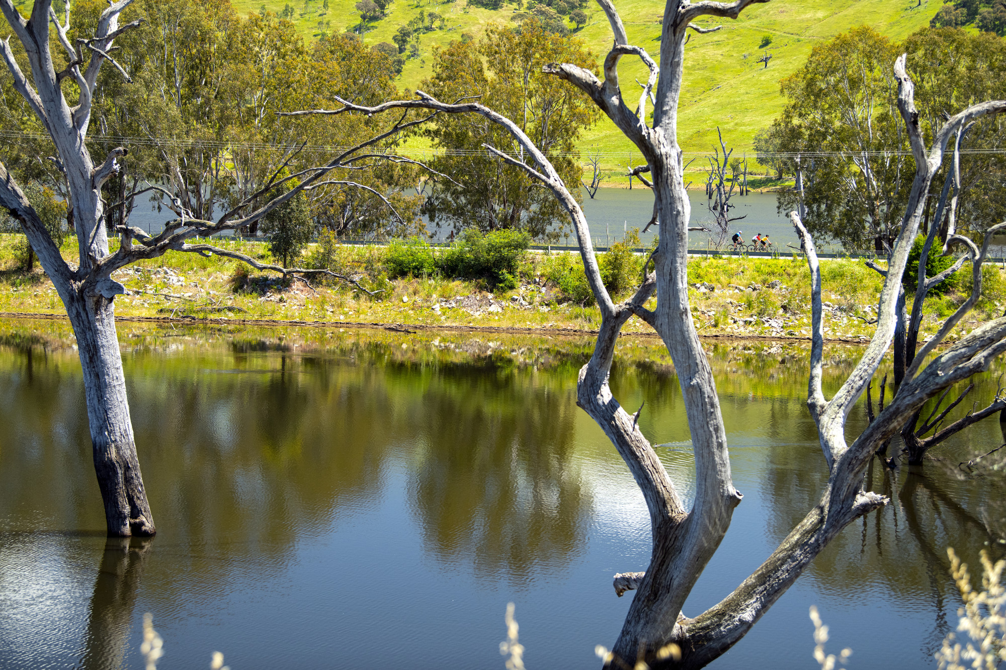 High Country Rail Trail - Tallangatta to Old Tallangatta