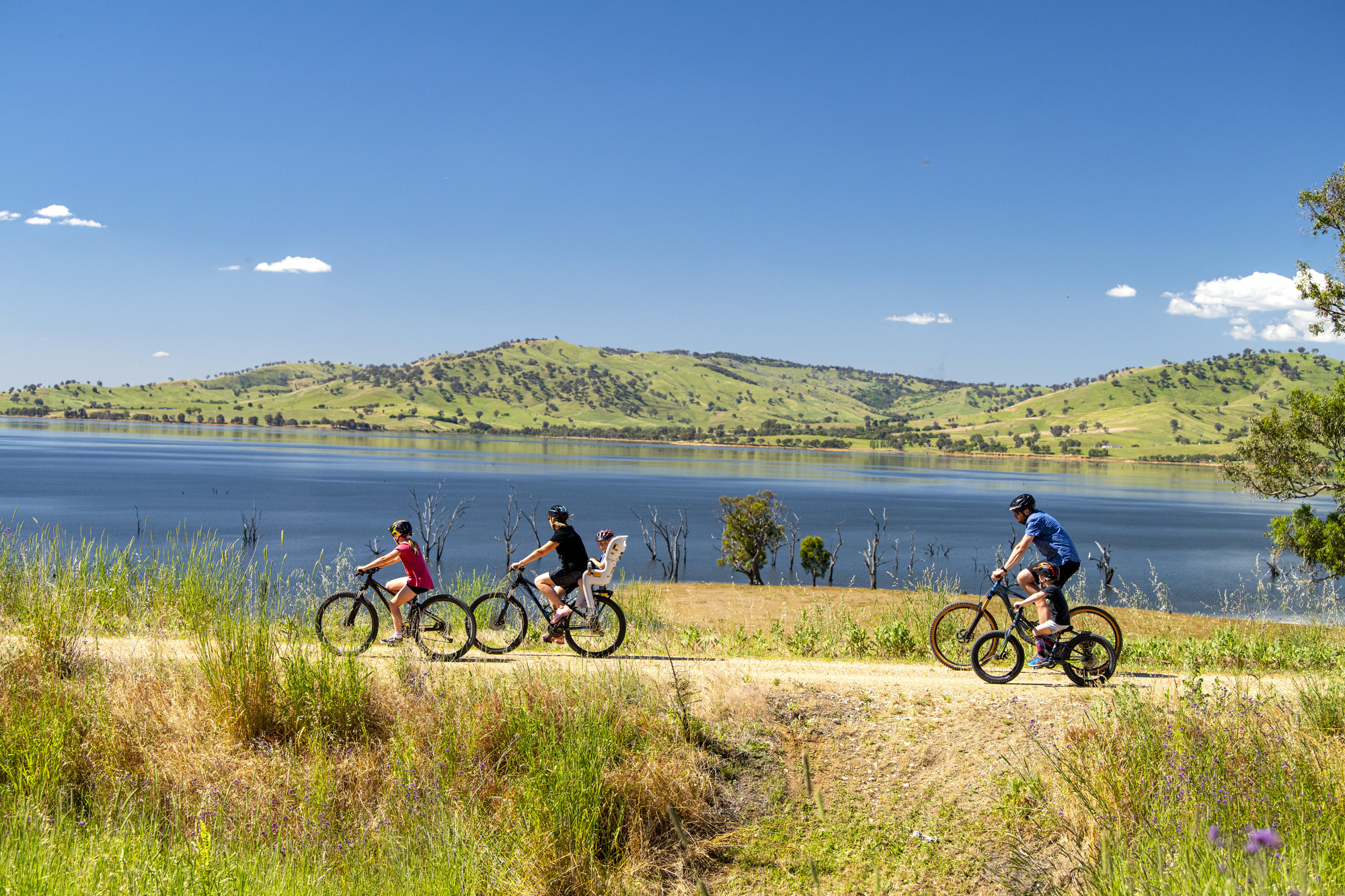 High Country Rail Trail - Tallangatta to Sandy Creek Bridge